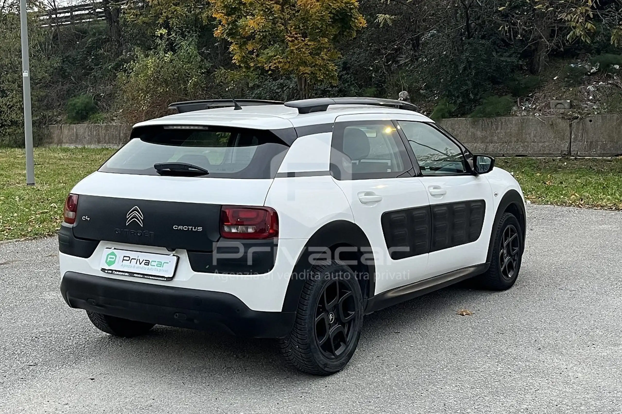 Citroen - C4 Cactus