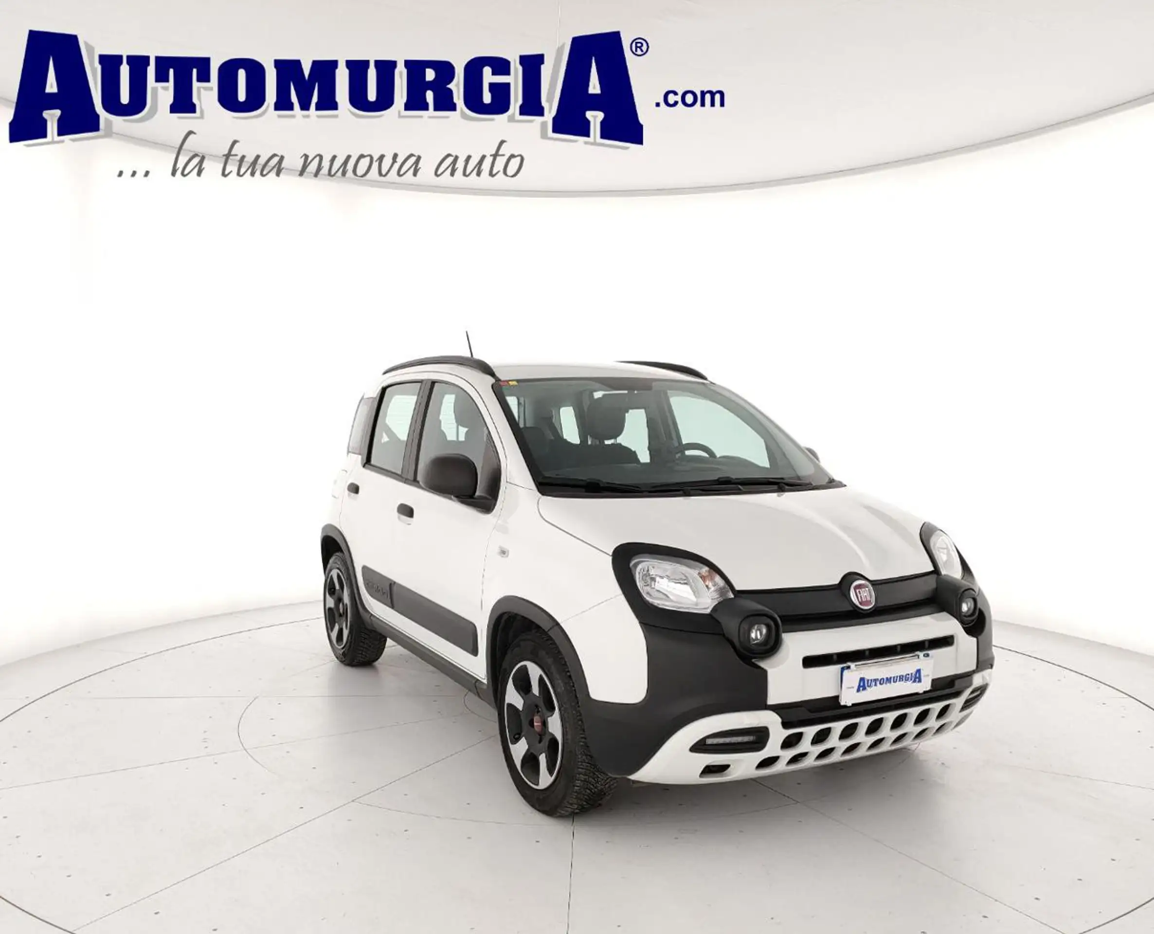 Fiat - Panda