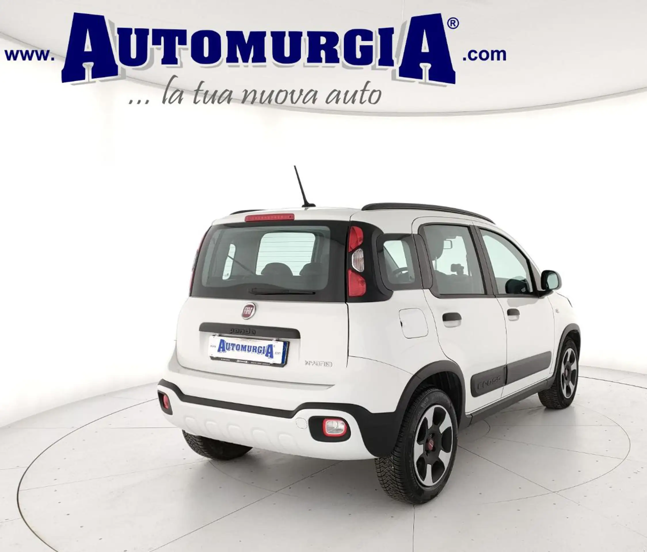 Fiat - Panda