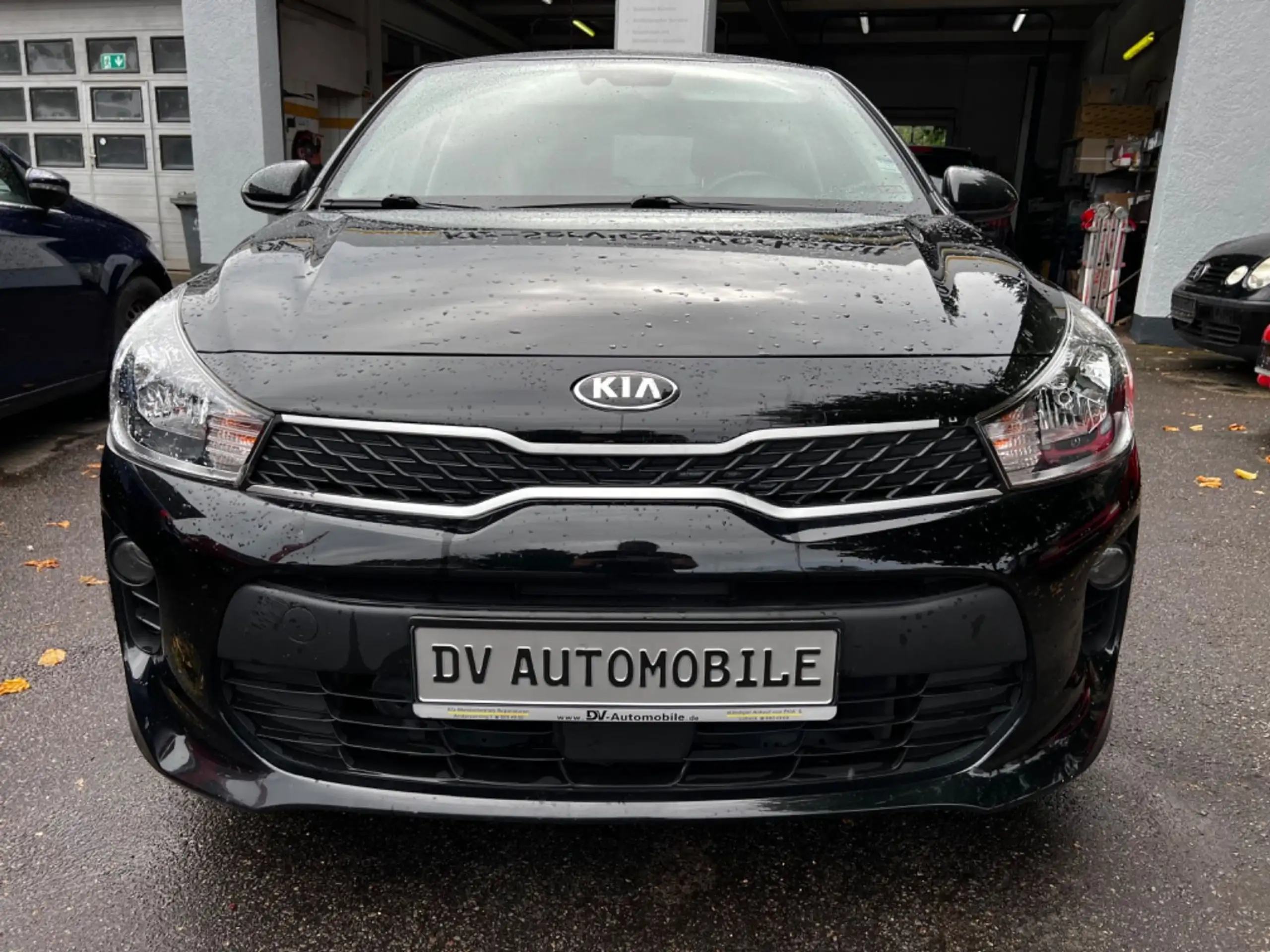 Kia - Rio