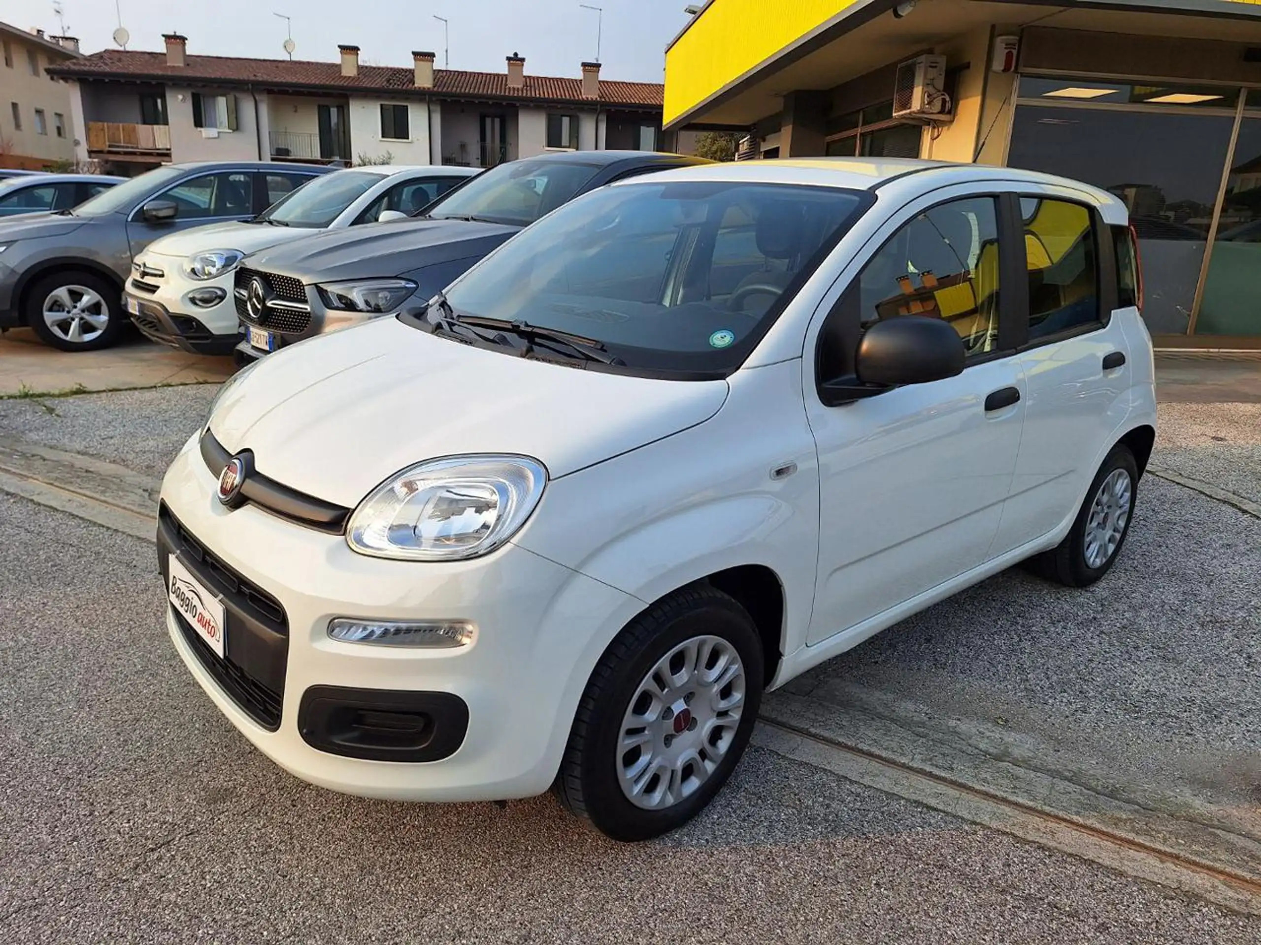 Fiat - Panda