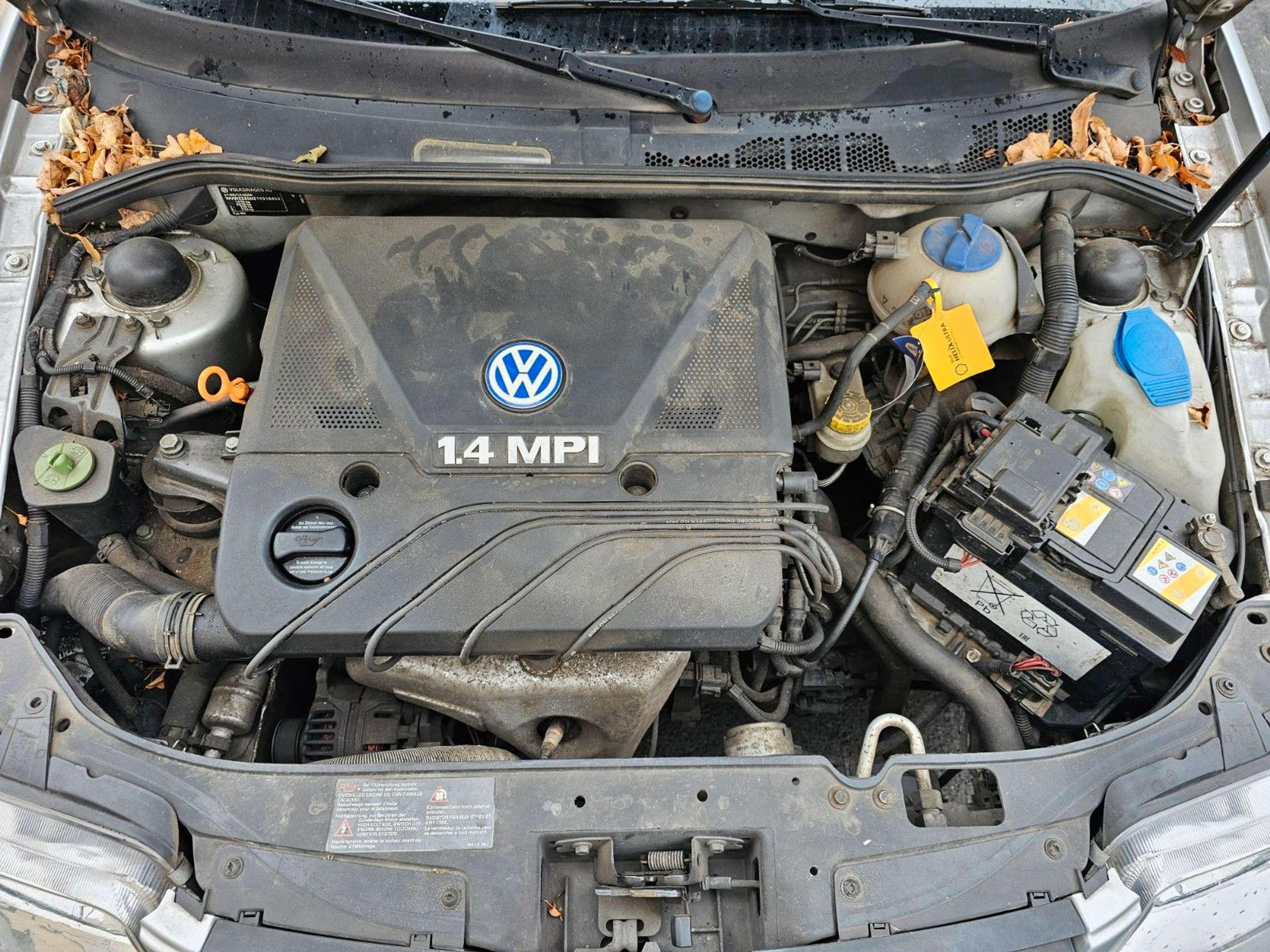 Volkswagen - Polo