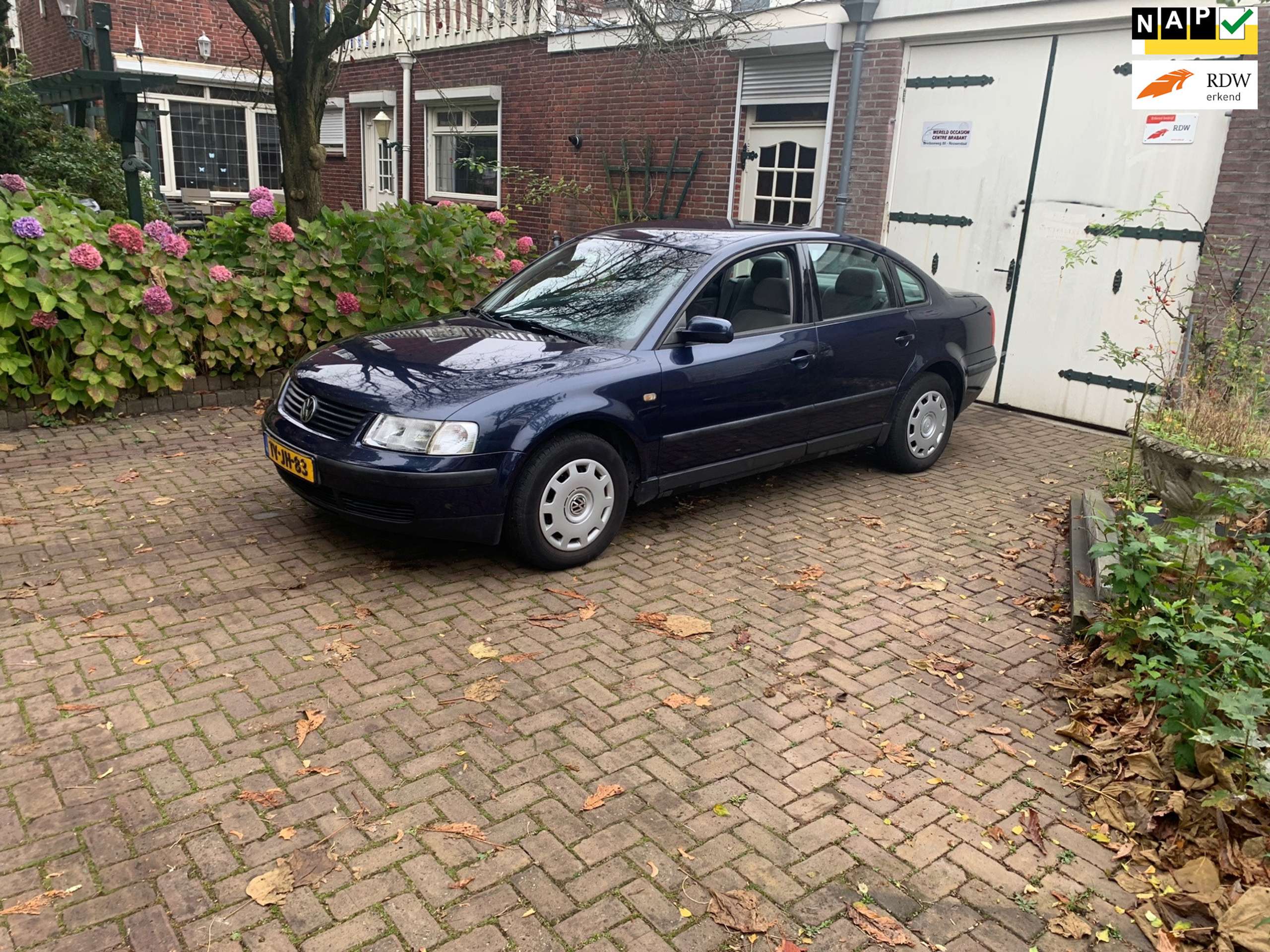 Volkswagen - Passat