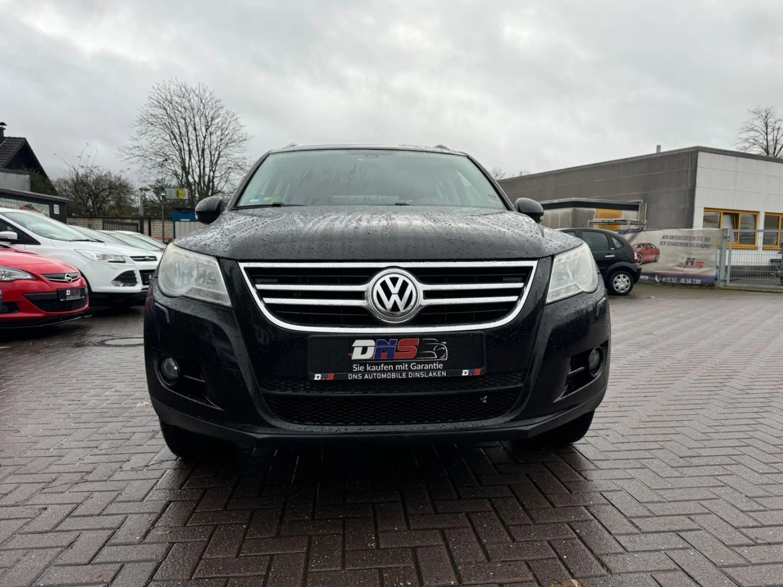 Volkswagen - Tiguan