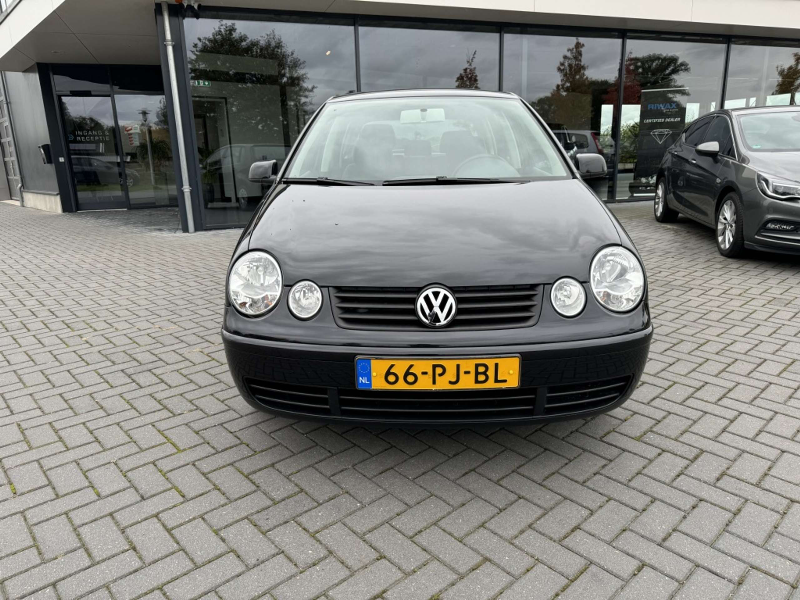 Volkswagen - Polo