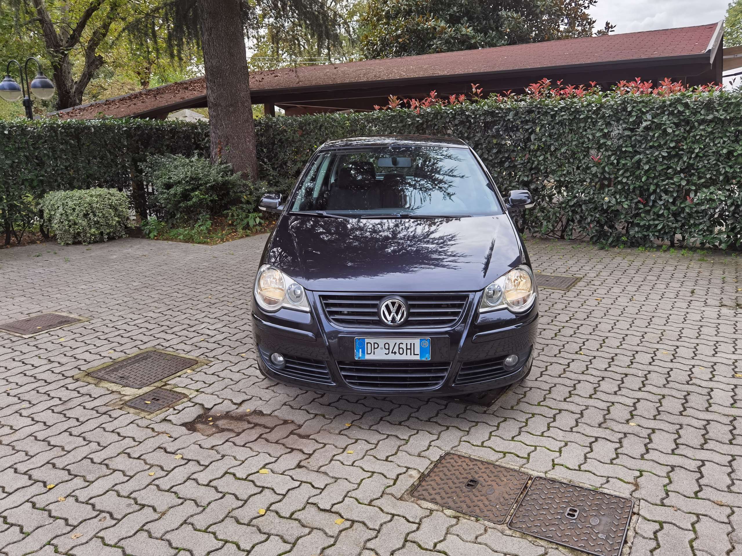 Volkswagen - Polo