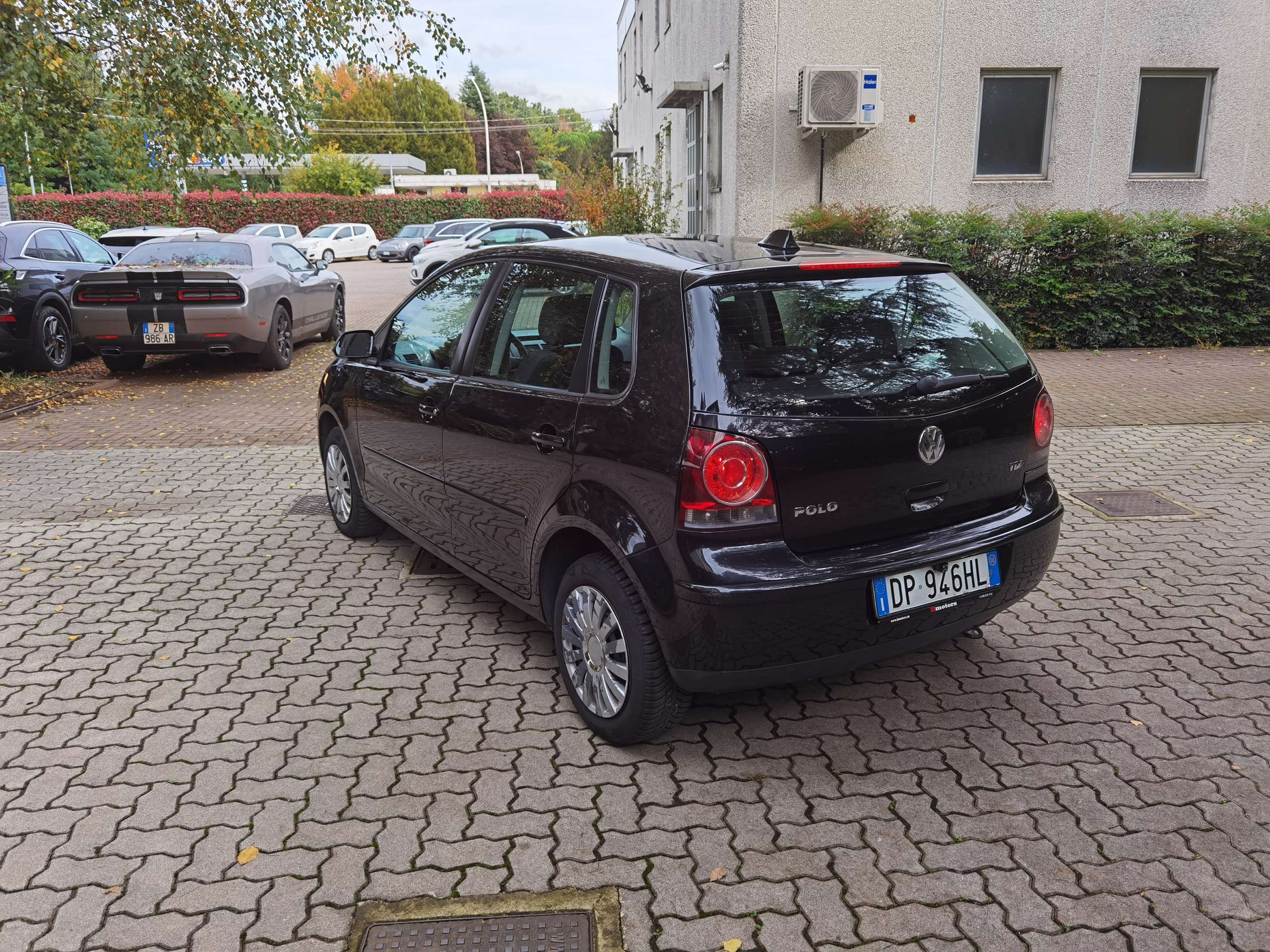 Volkswagen - Polo