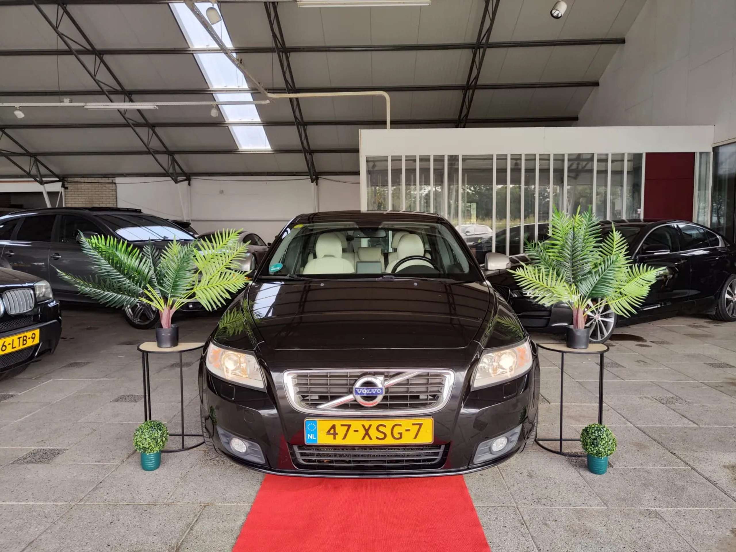 Volvo - V50