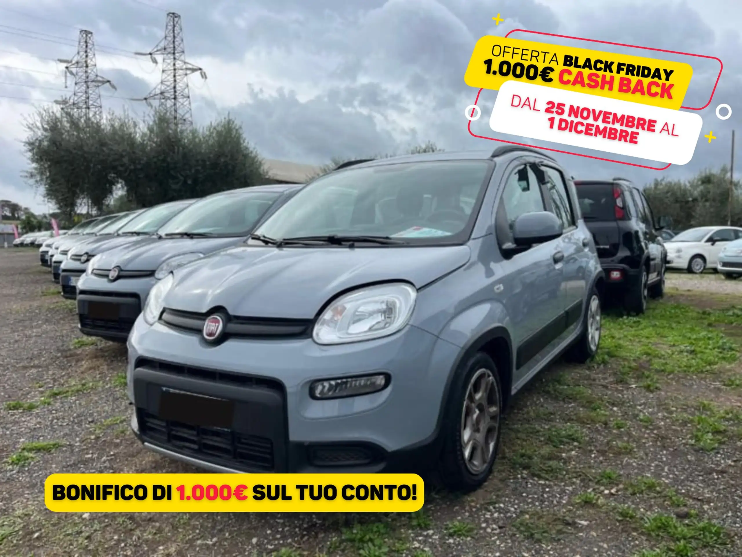 Fiat - Panda