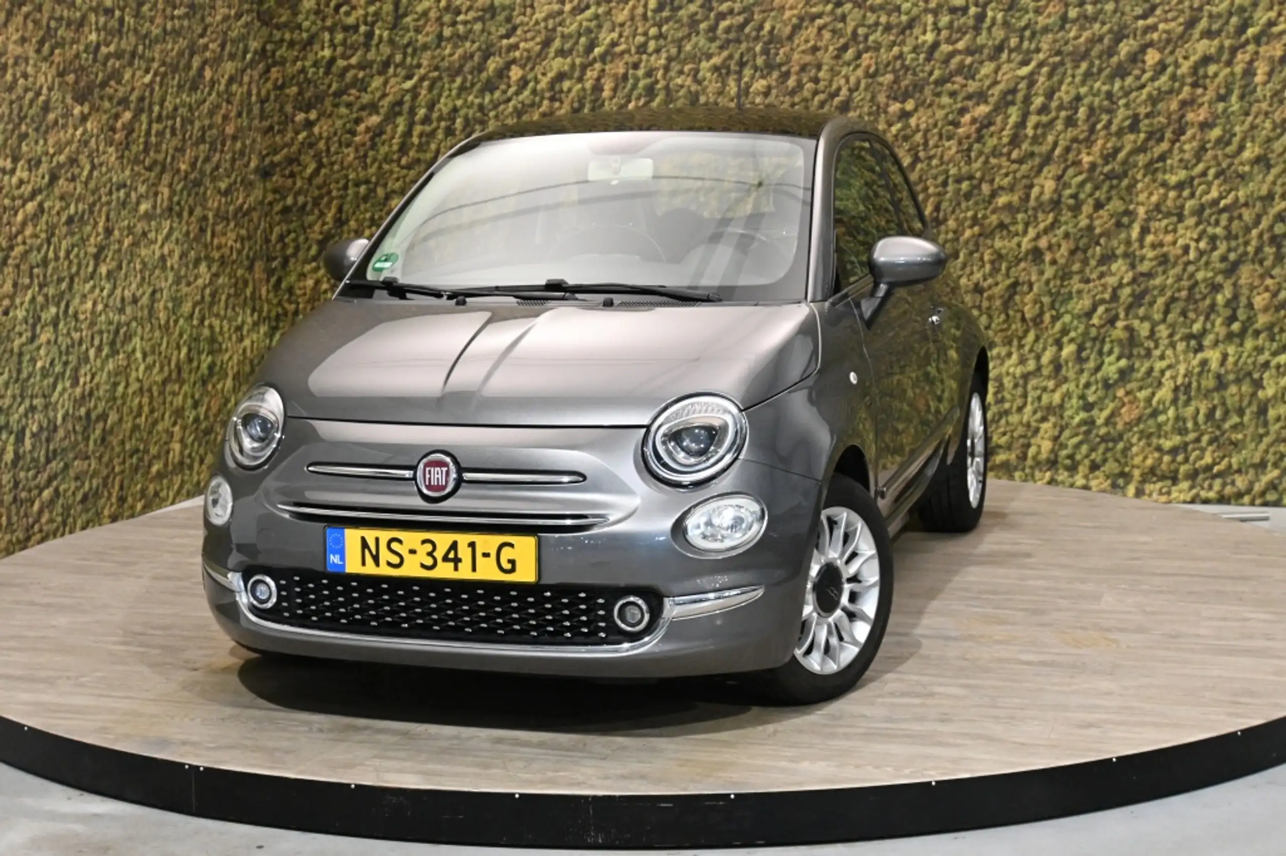 Fiat - 500