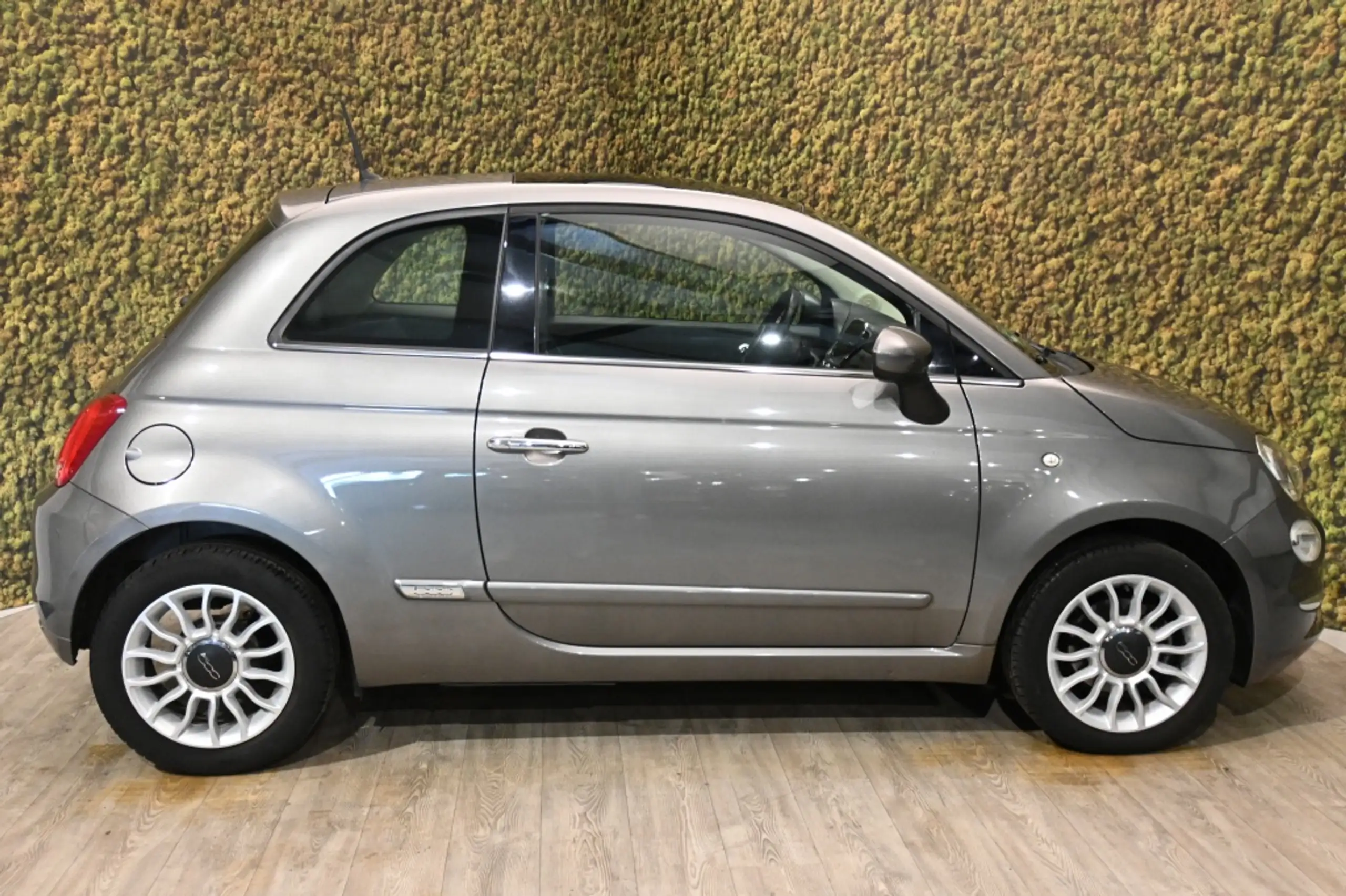 Fiat - 500