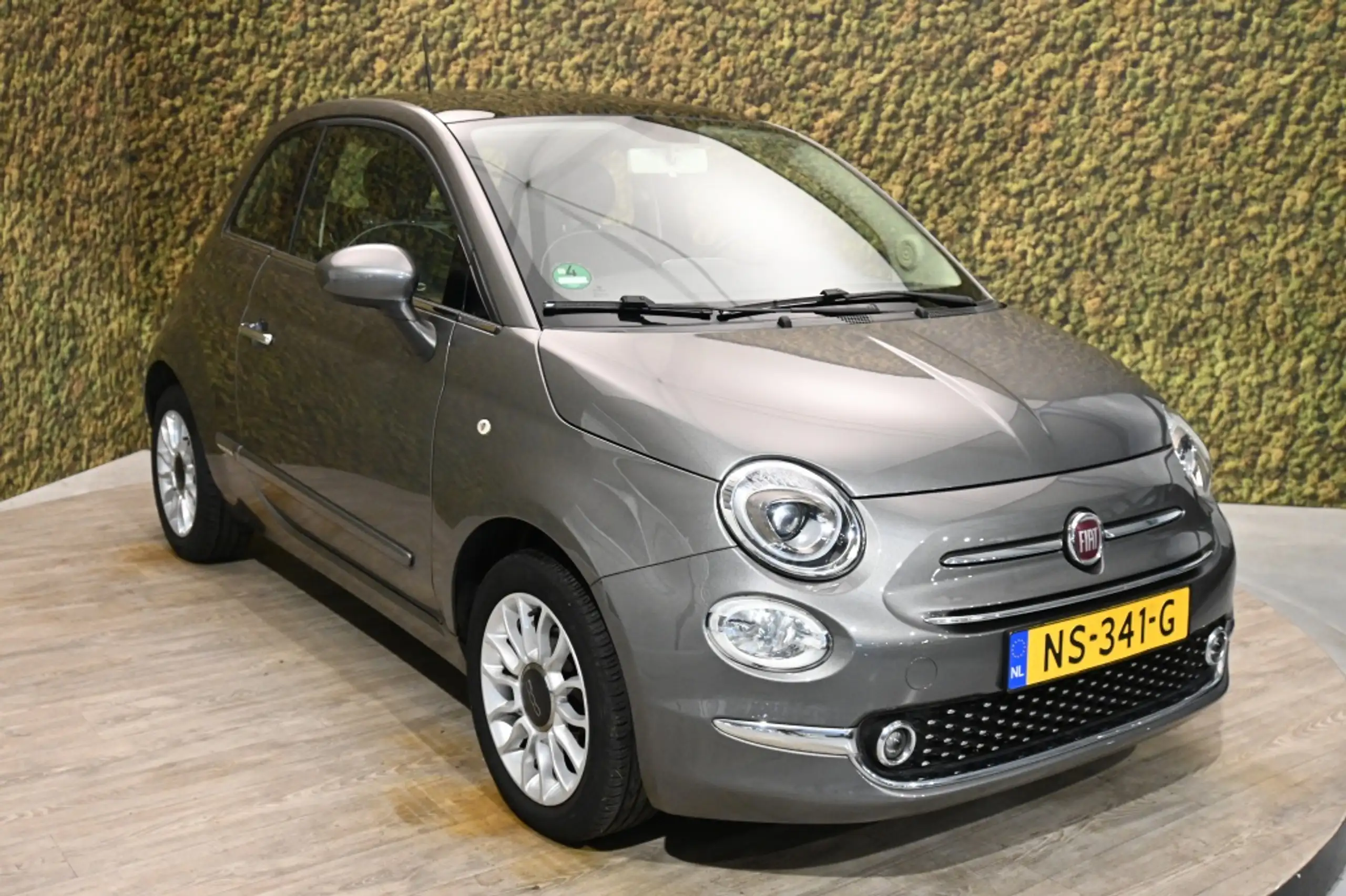 Fiat - 500