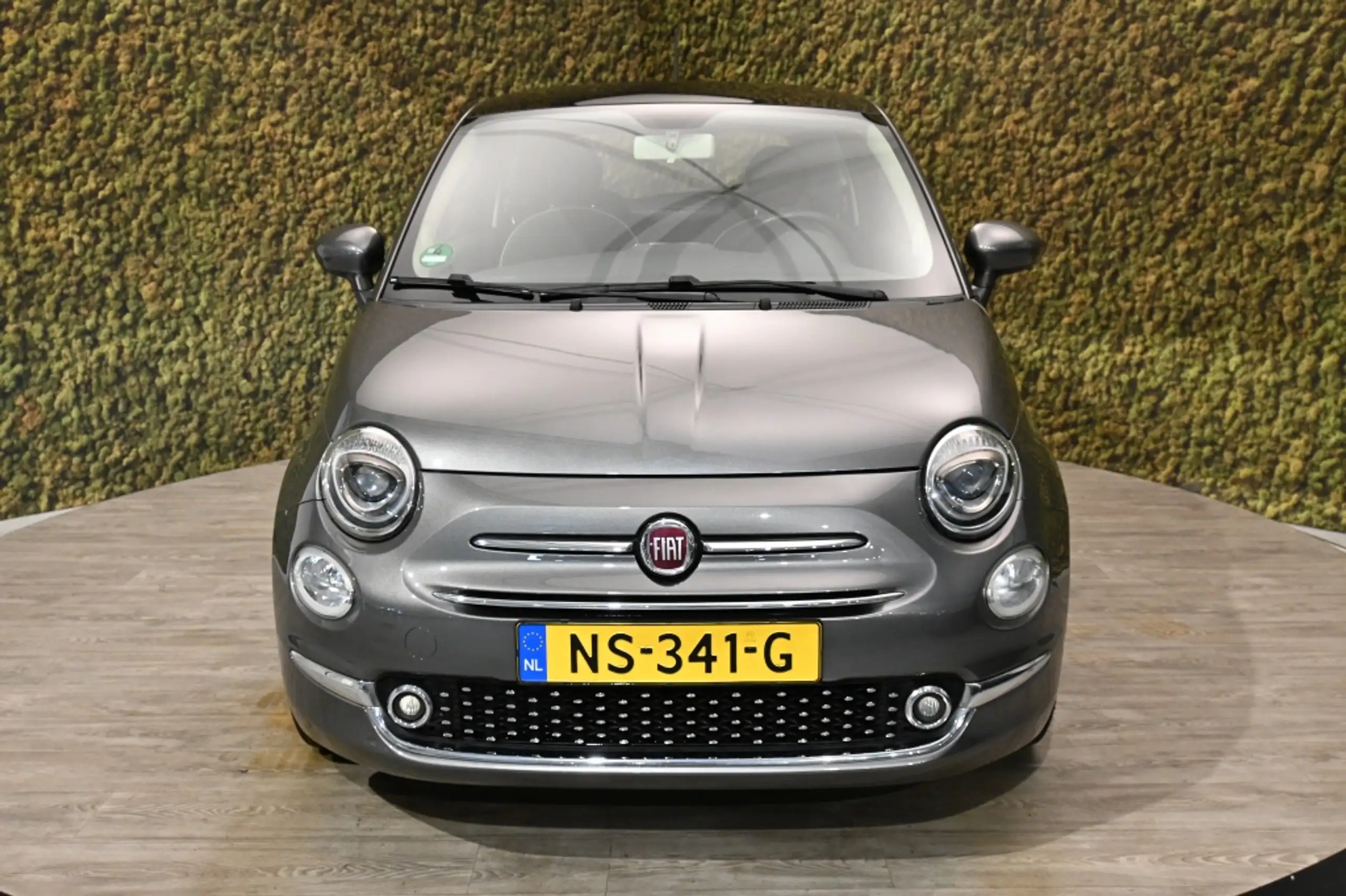 Fiat - 500