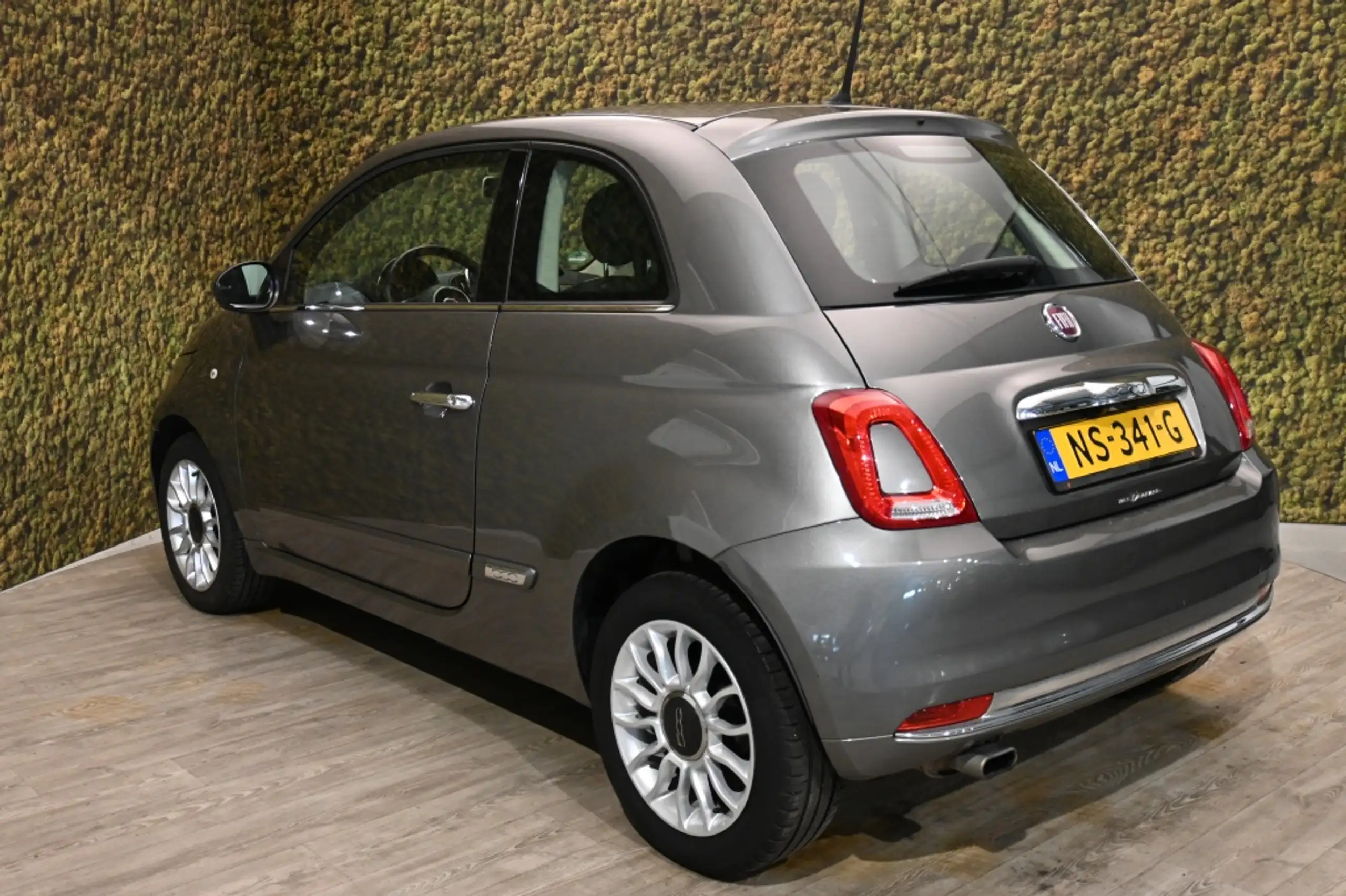 Fiat - 500