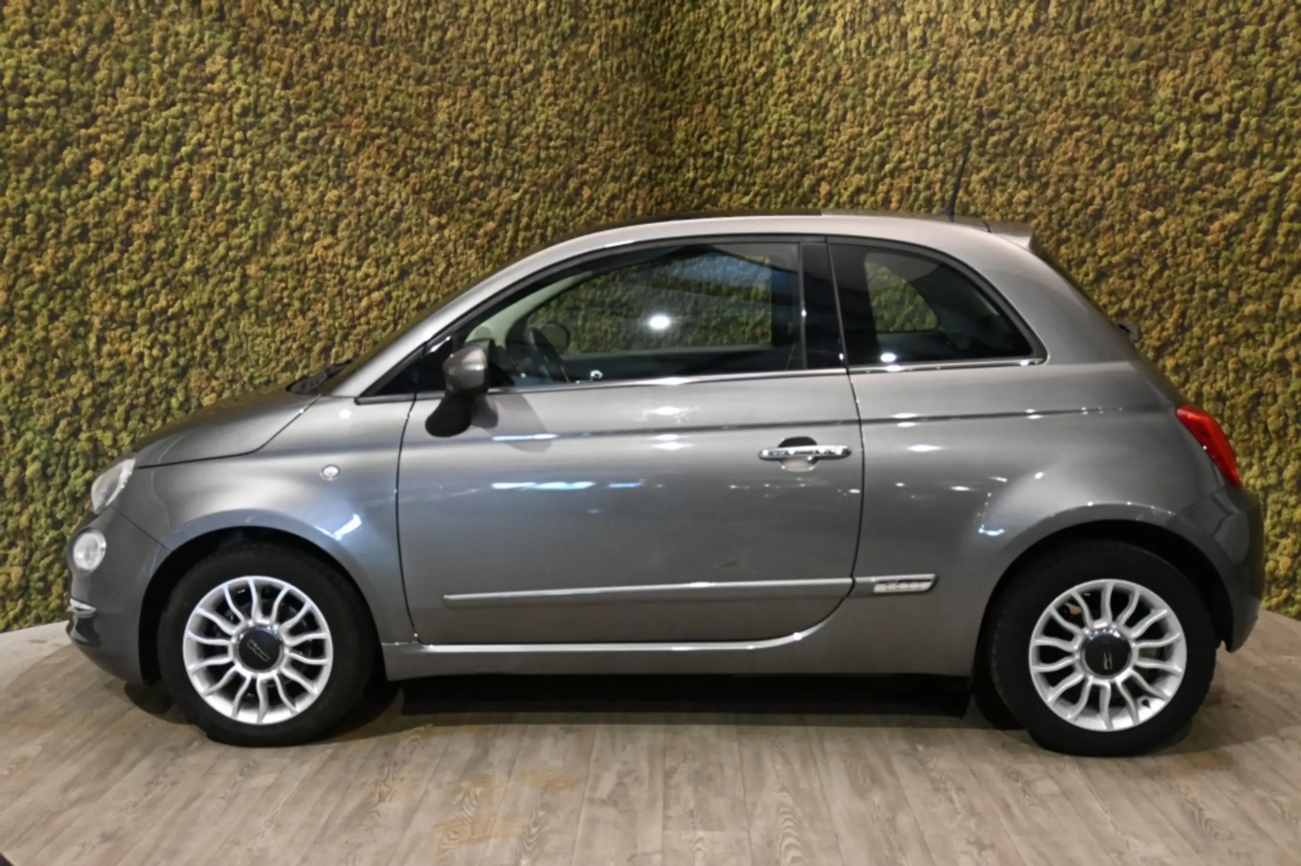 Fiat - 500