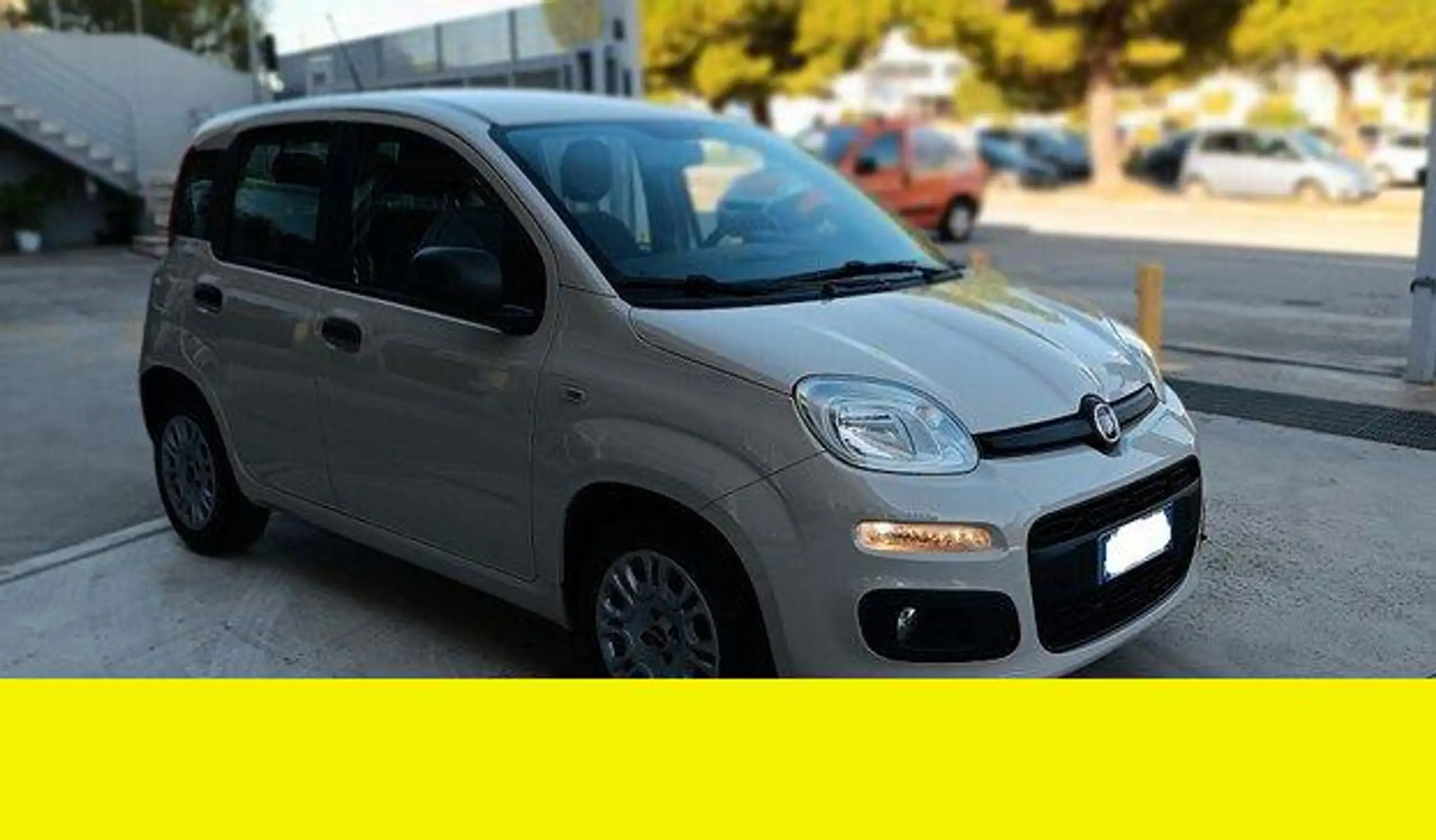 Fiat - Panda