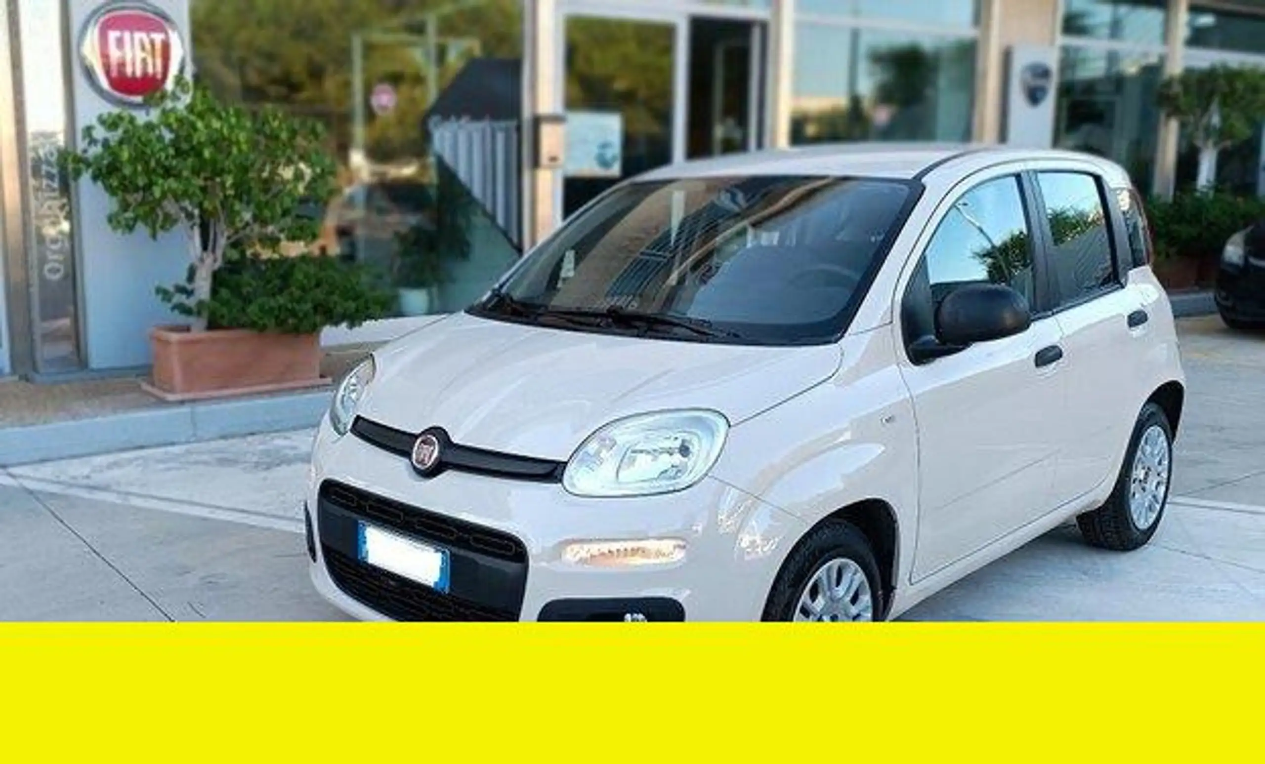 Fiat - Panda