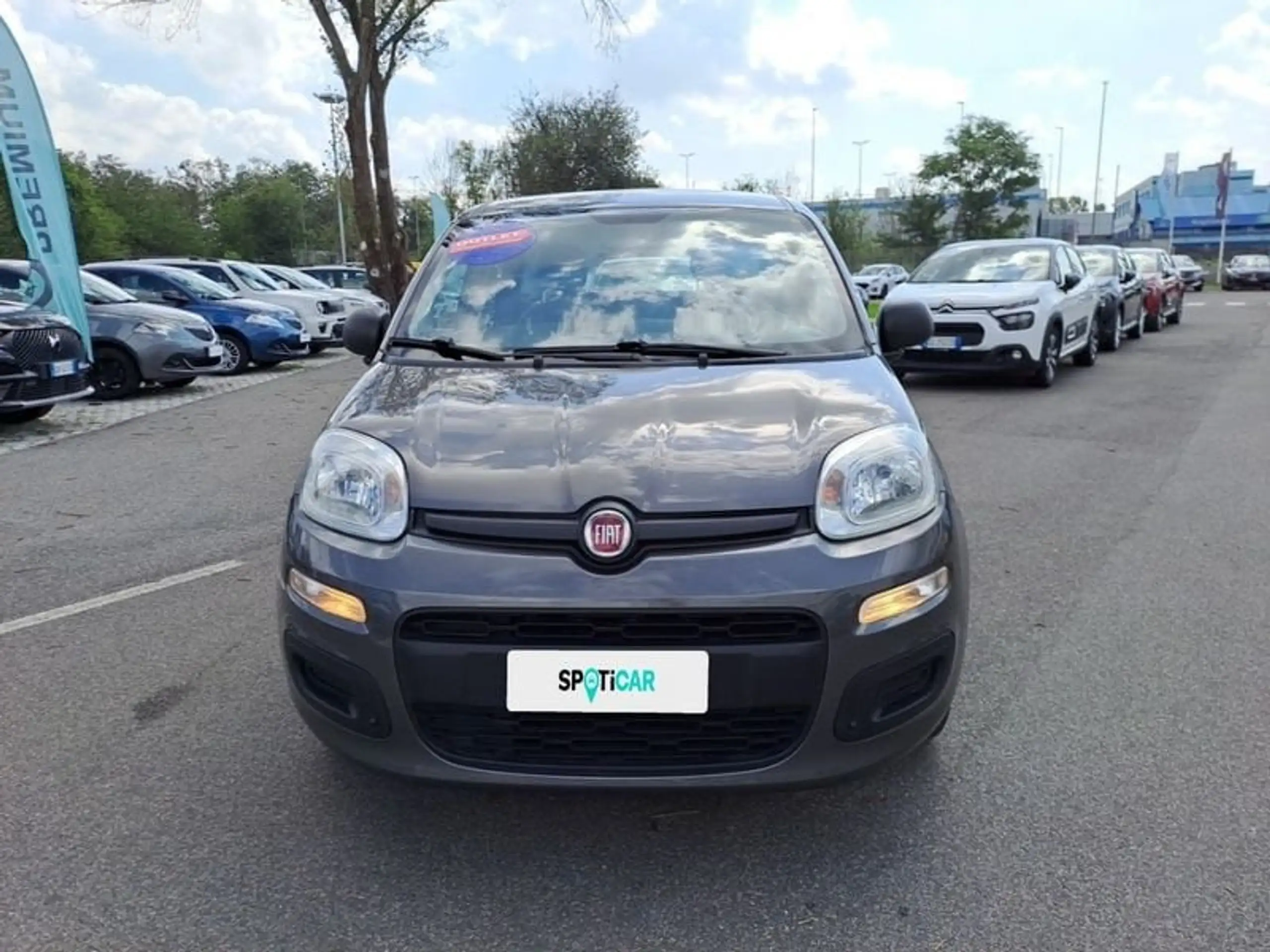 Fiat - Panda