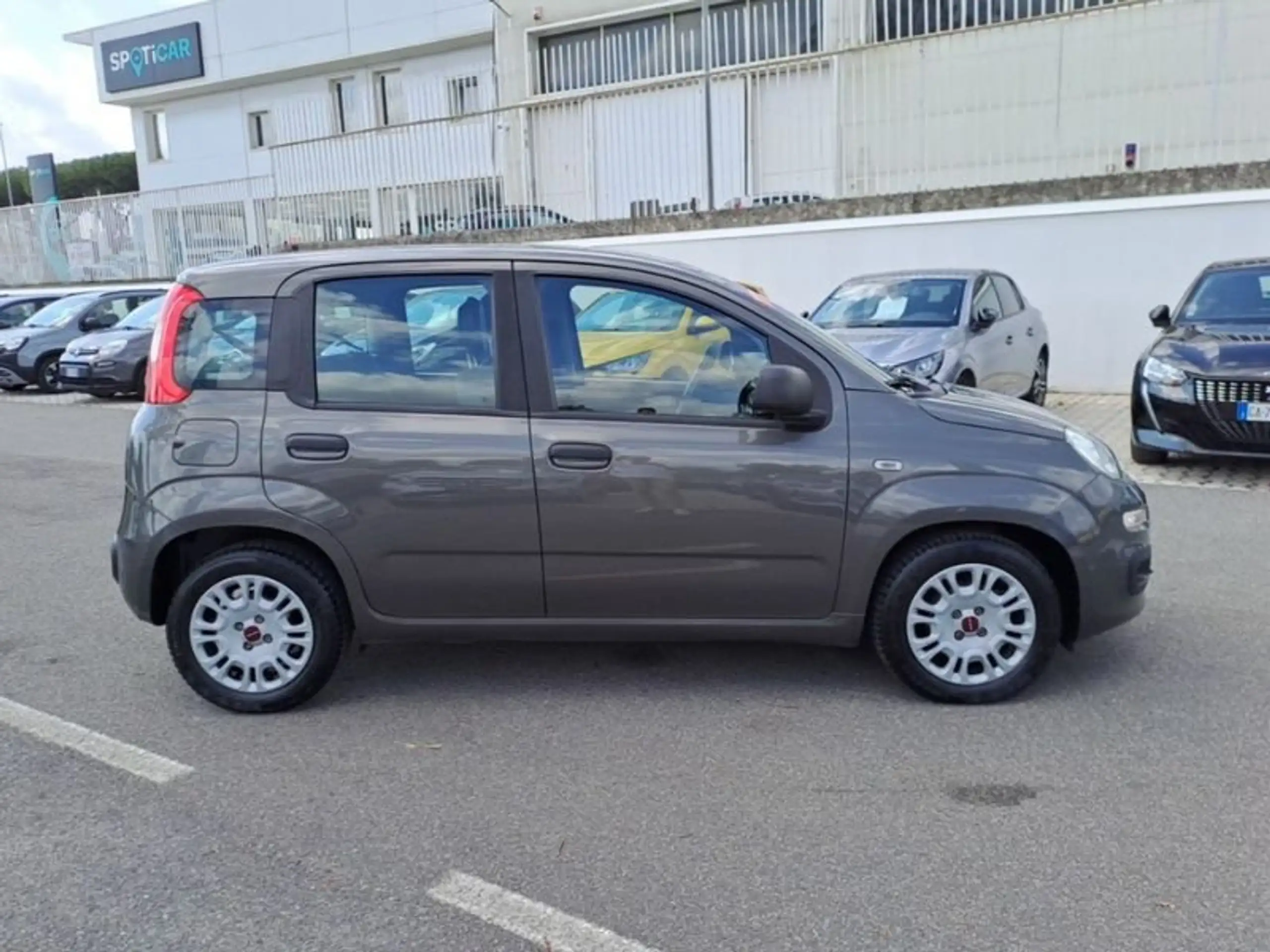 Fiat - Panda