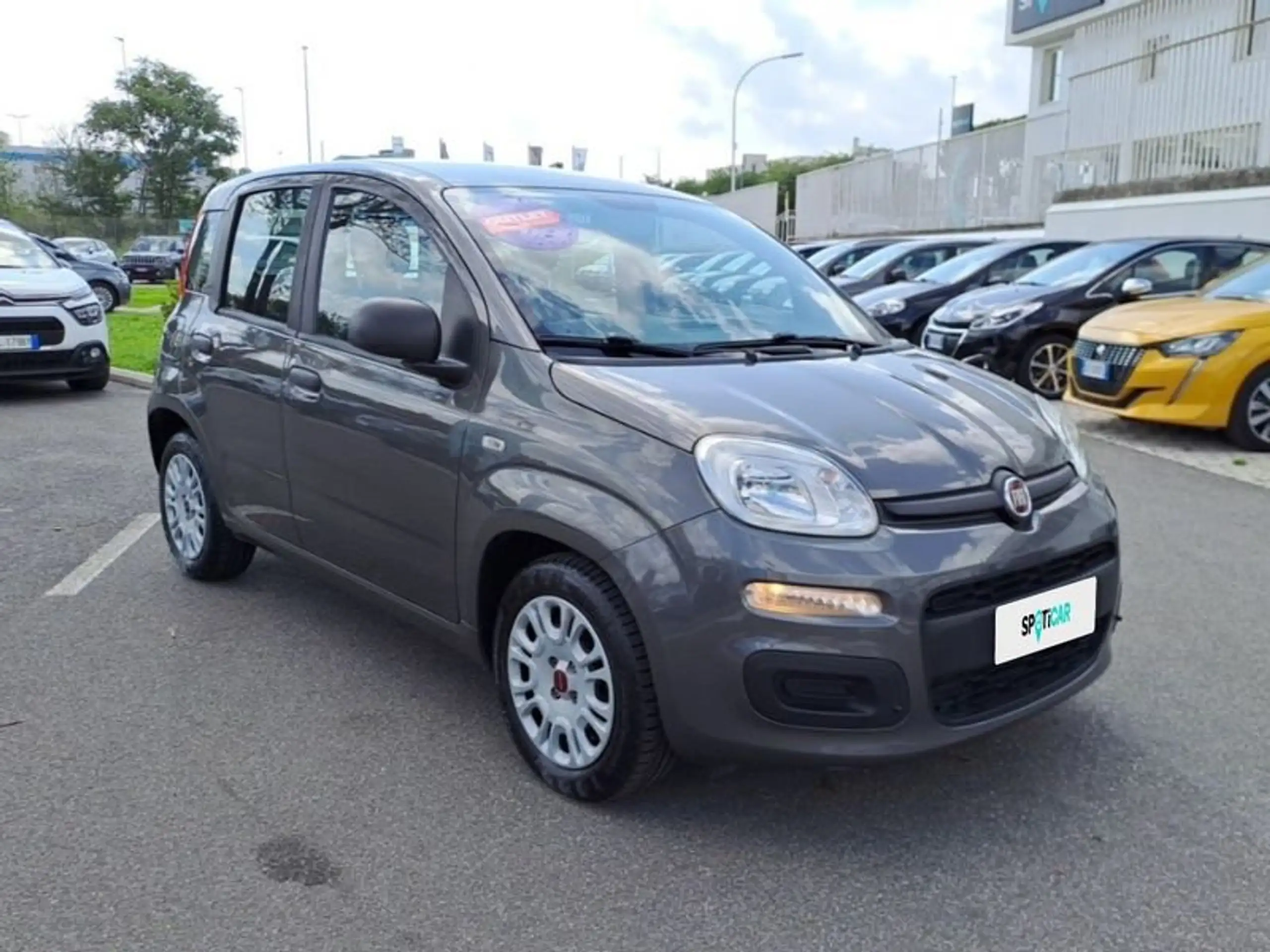 Fiat - Panda