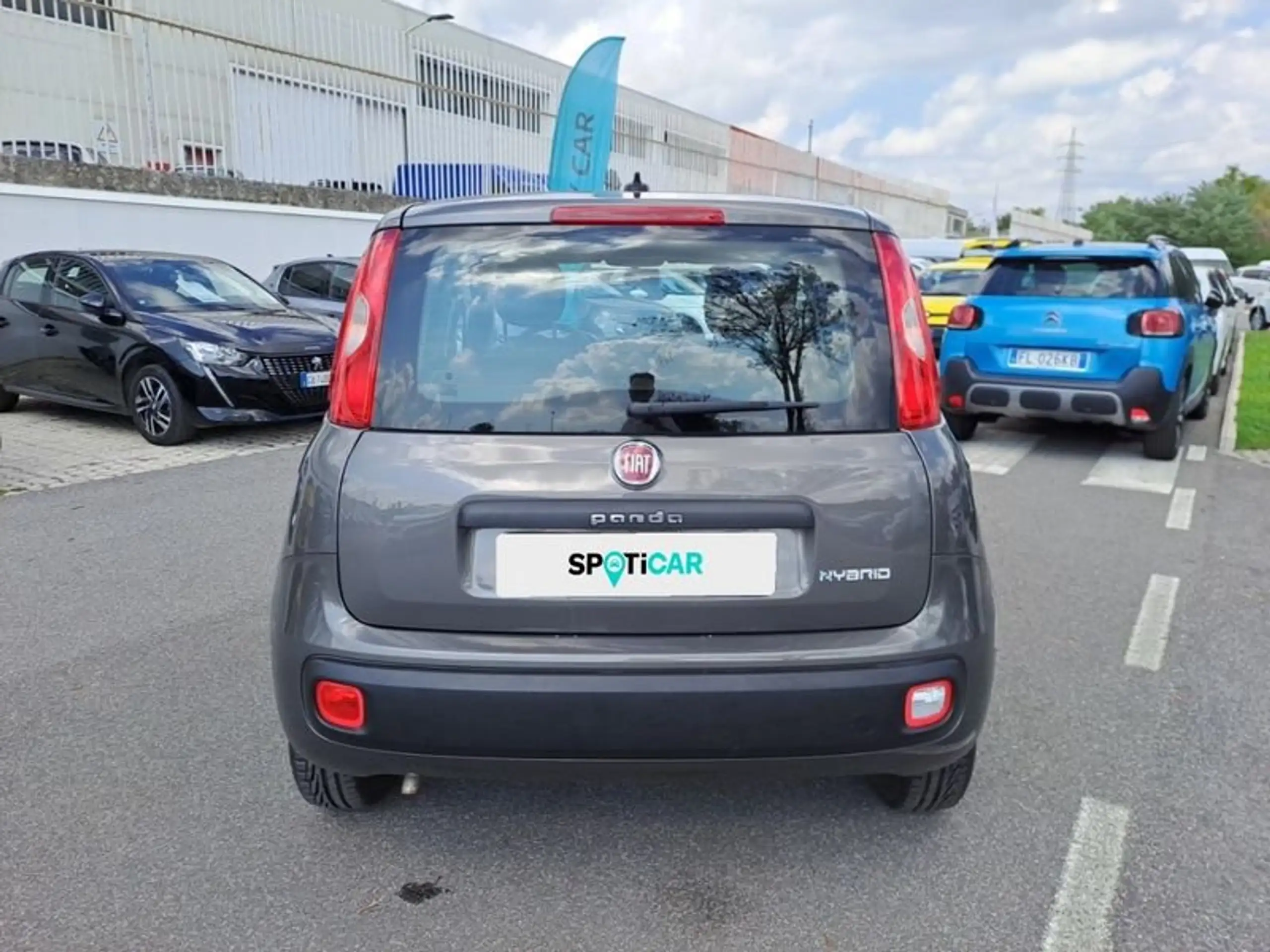 Fiat - Panda