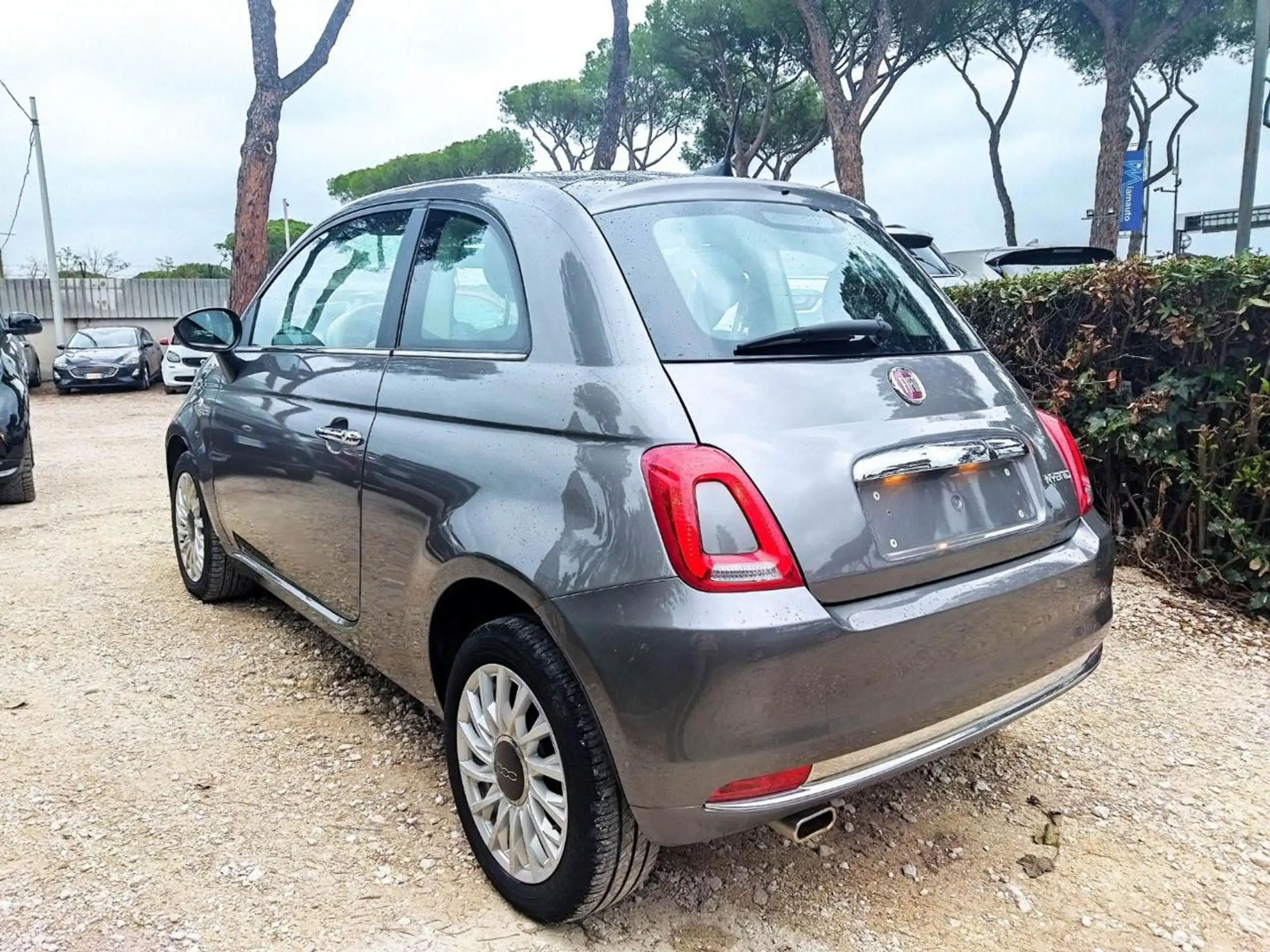 Fiat - 500