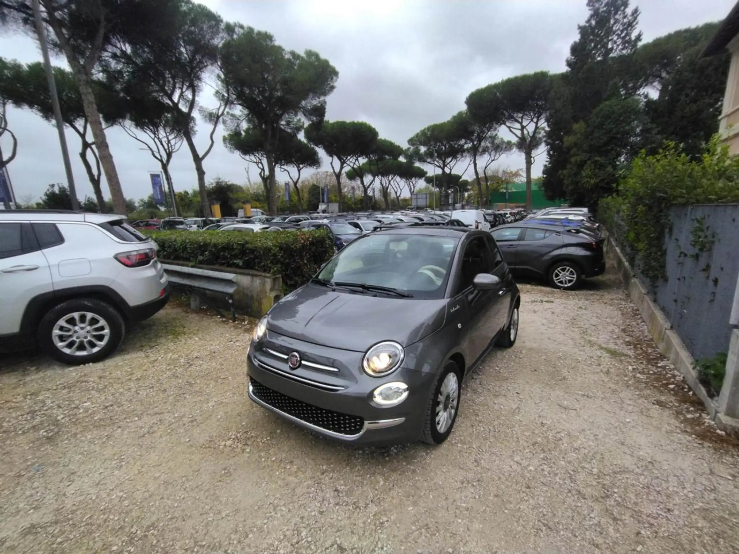 Fiat - 500