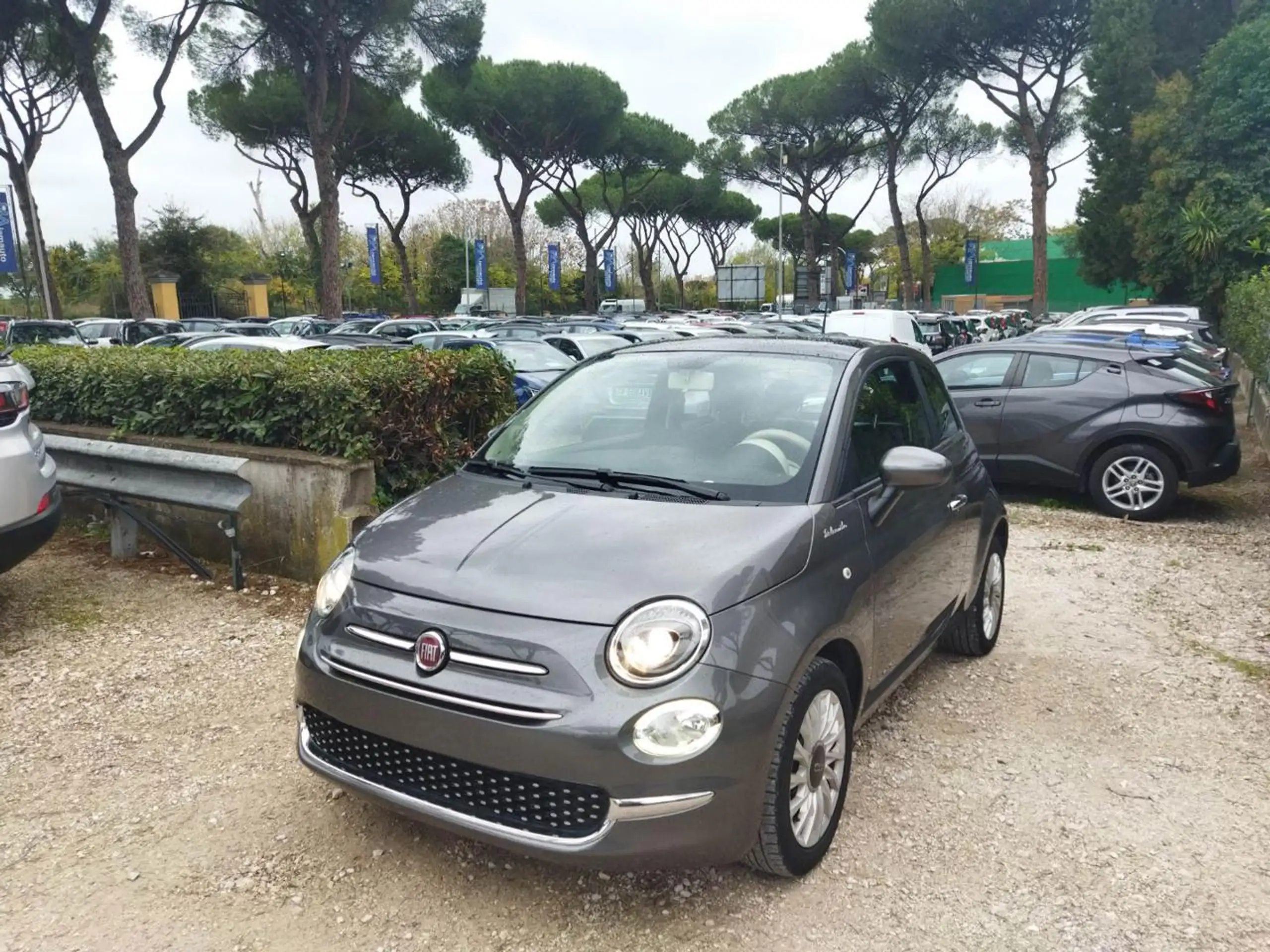 Fiat - 500