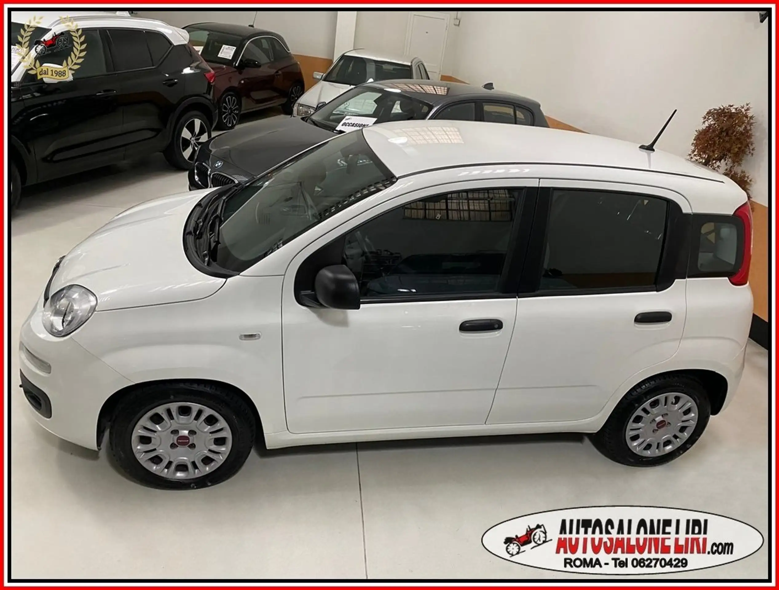 Fiat - Panda