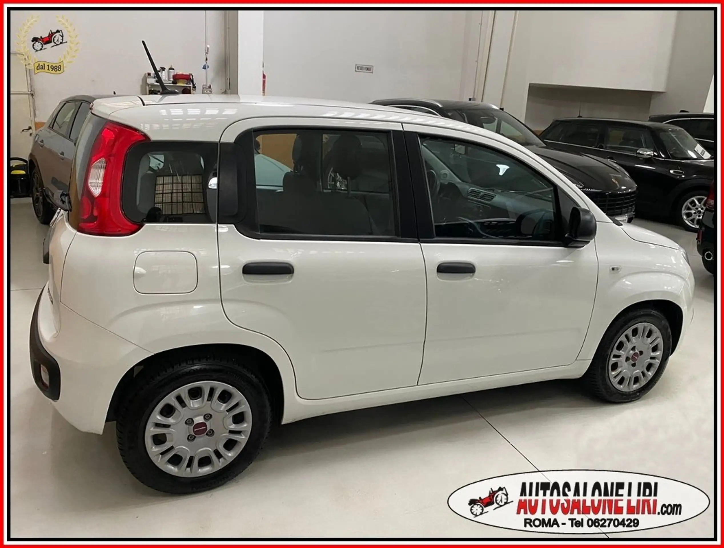 Fiat - Panda