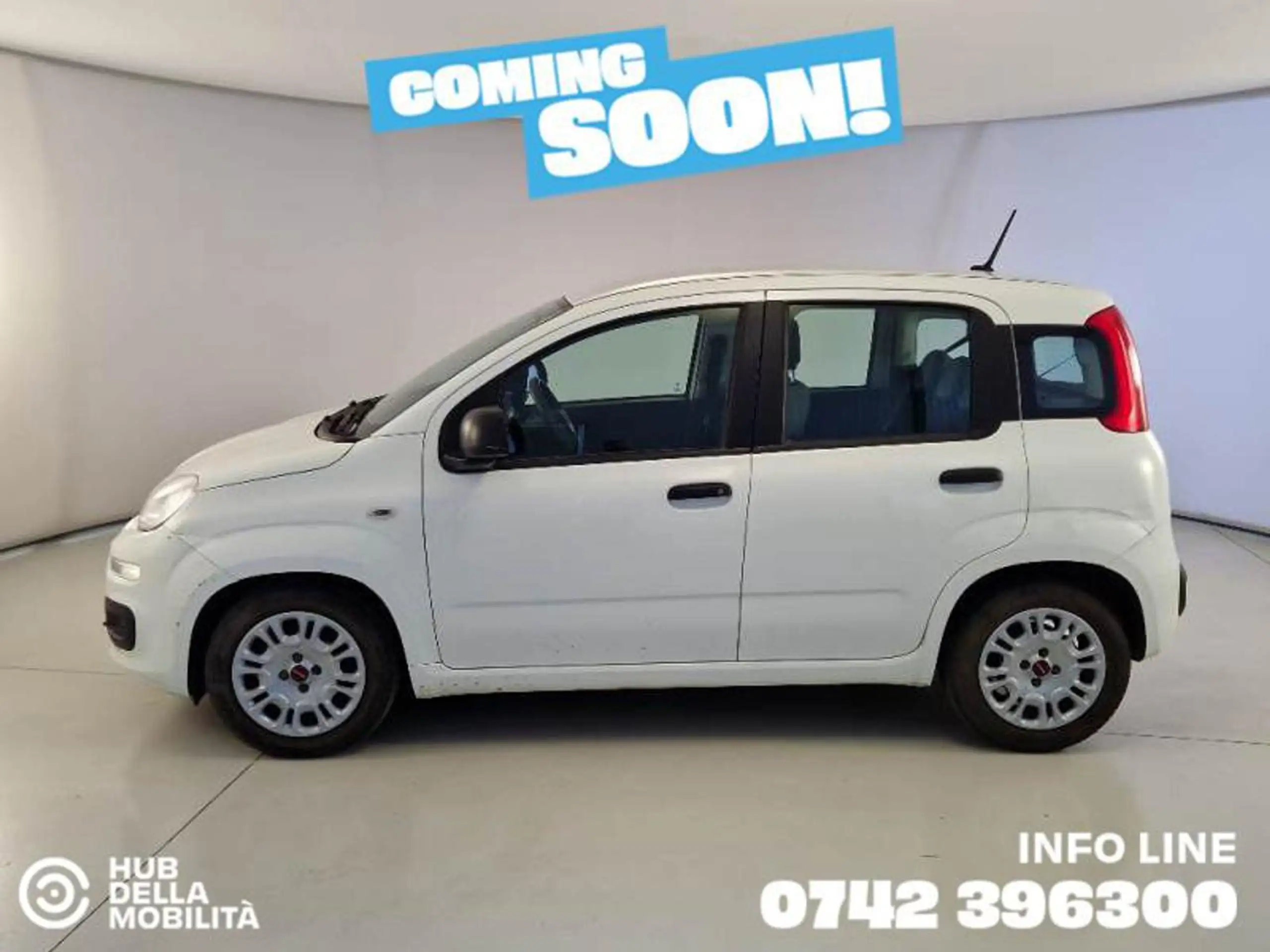 Fiat - Panda