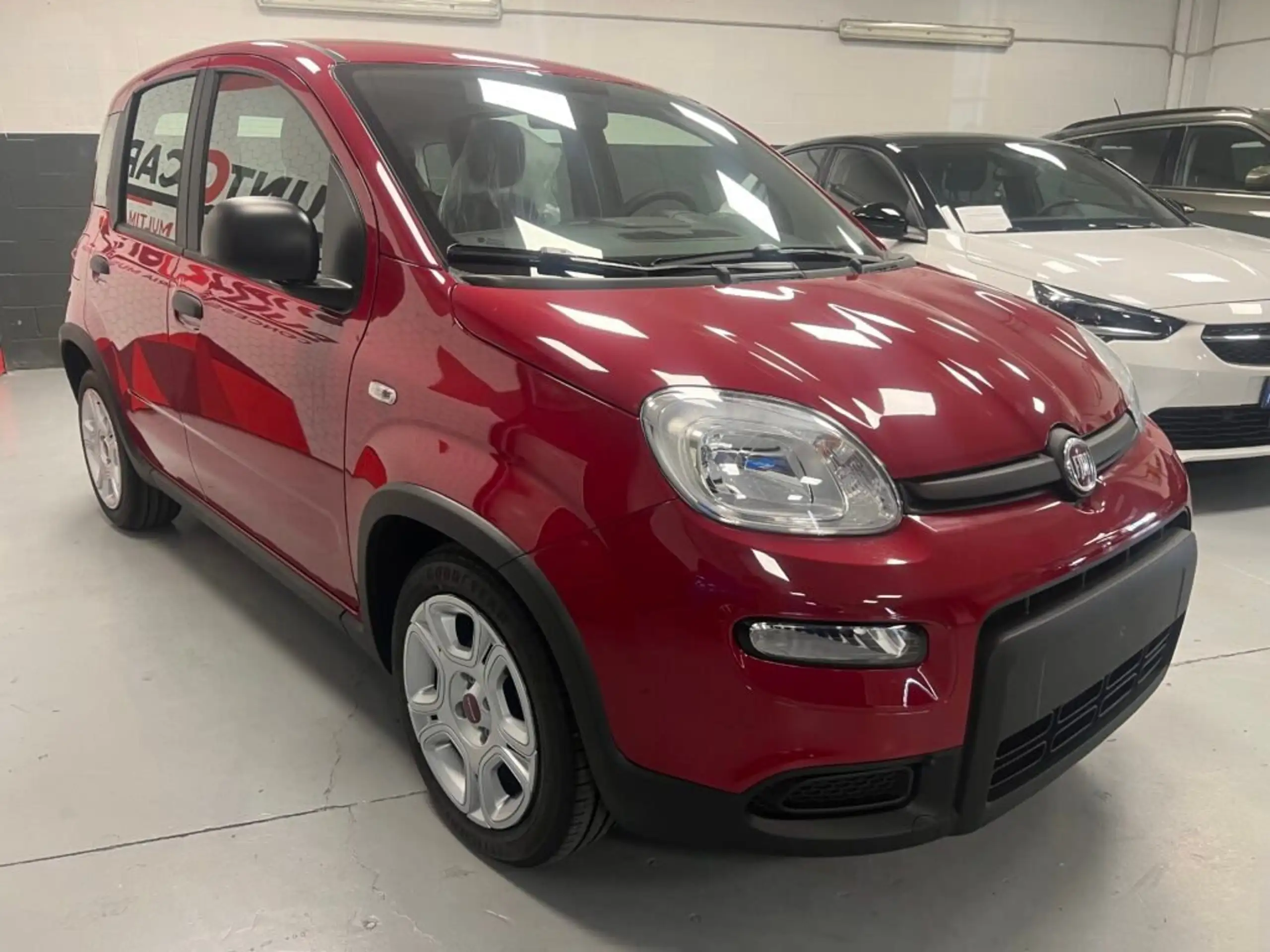 Fiat - Panda