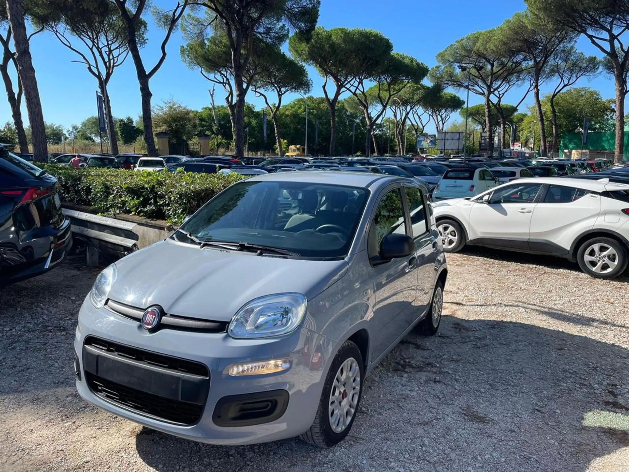 Fiat - New Panda