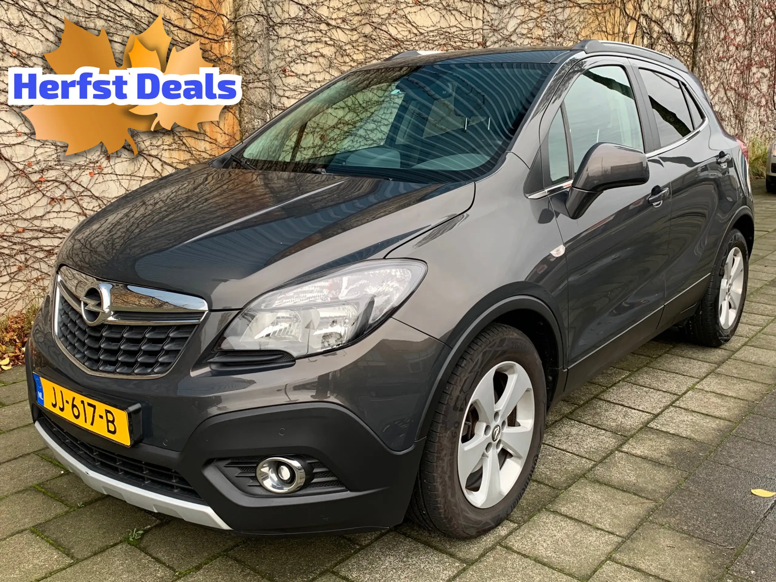 Opel - Mokka