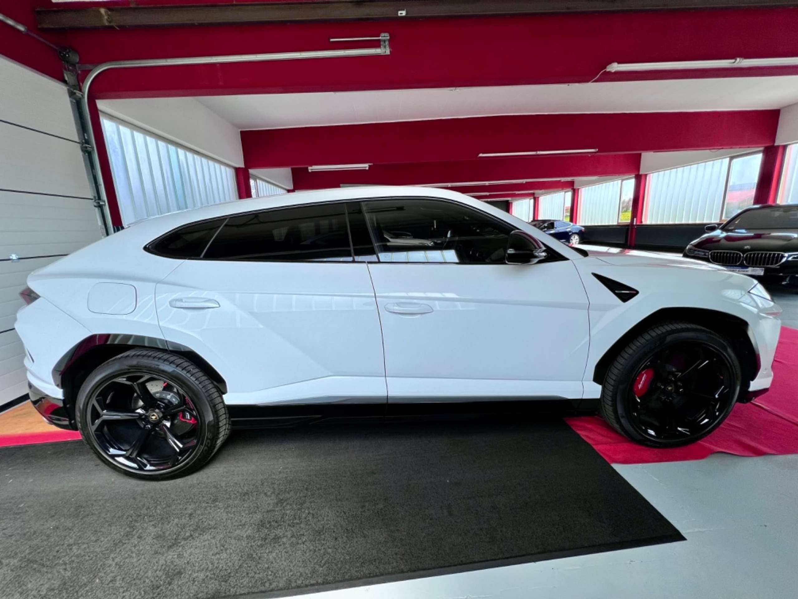 Lamborghini - Urus