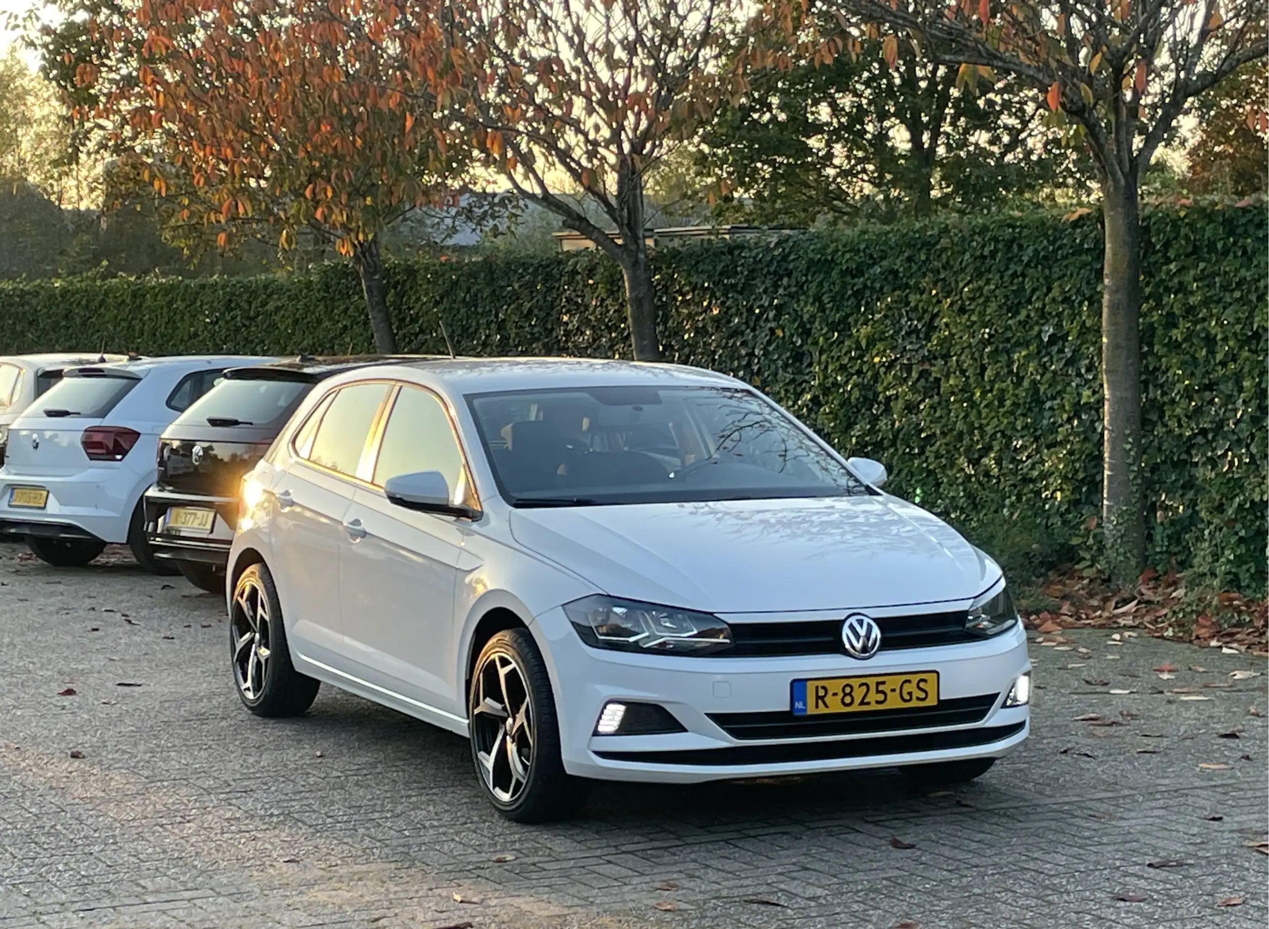 Volkswagen - Polo