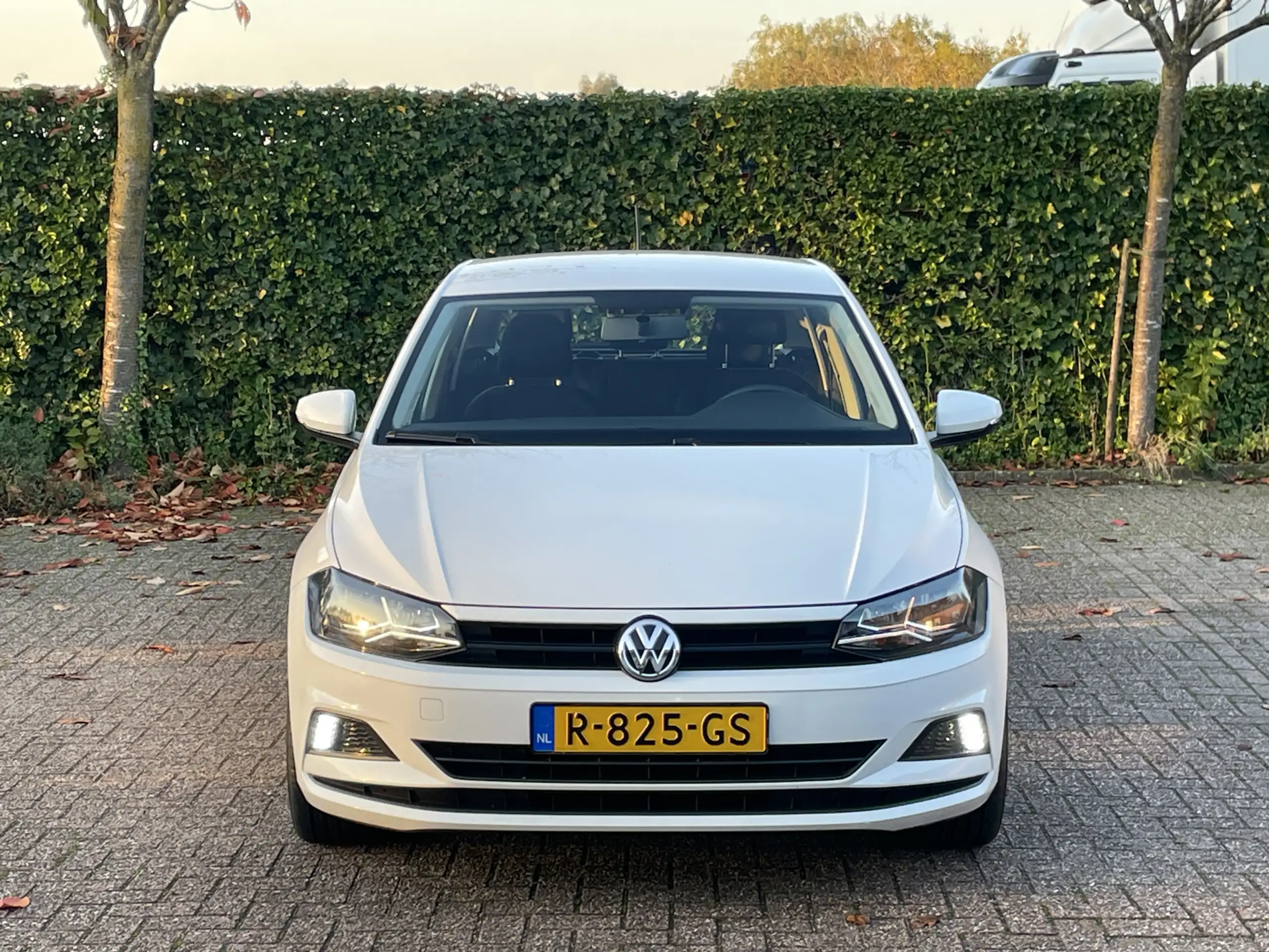 Volkswagen - Polo