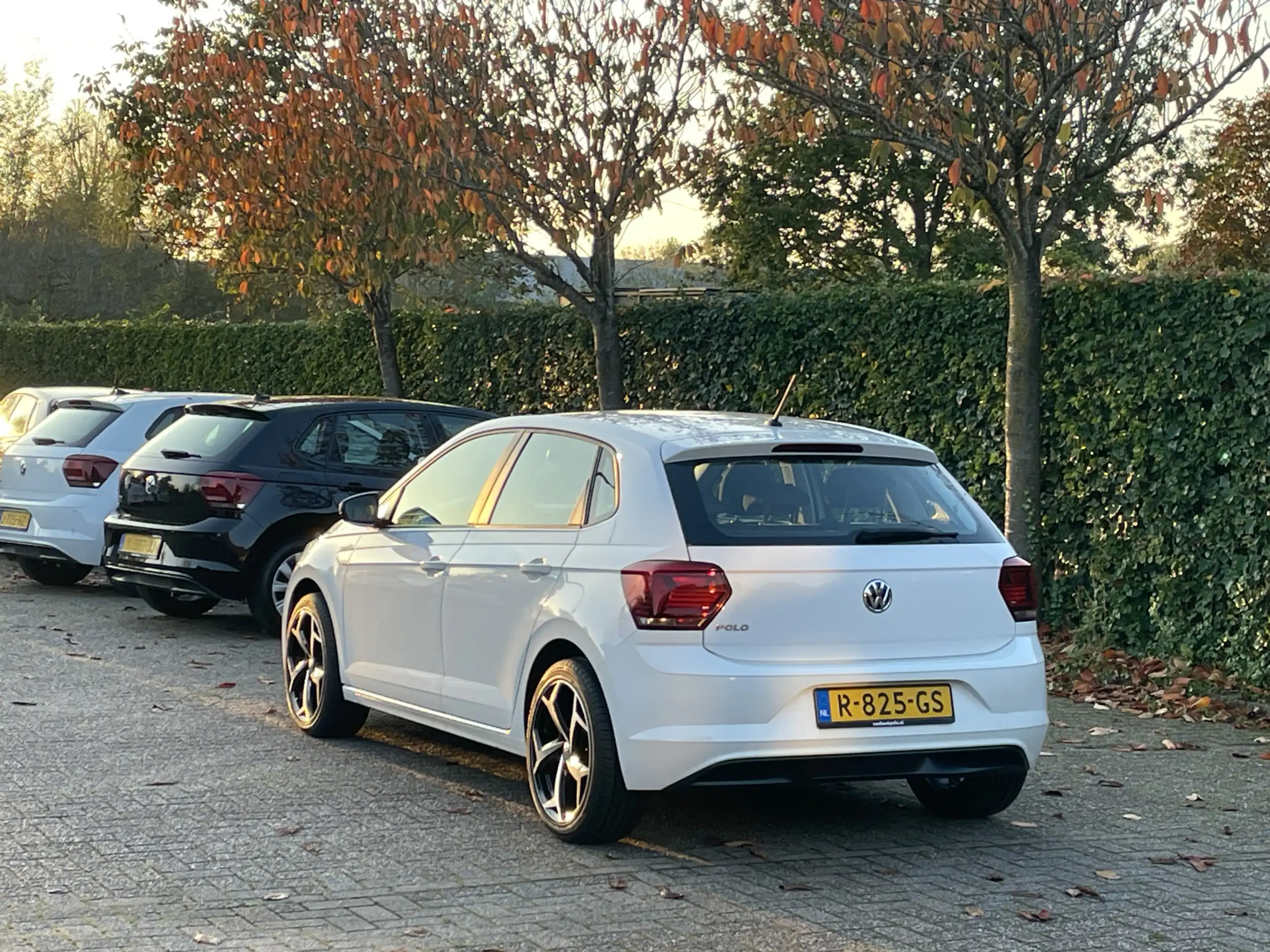 Volkswagen - Polo