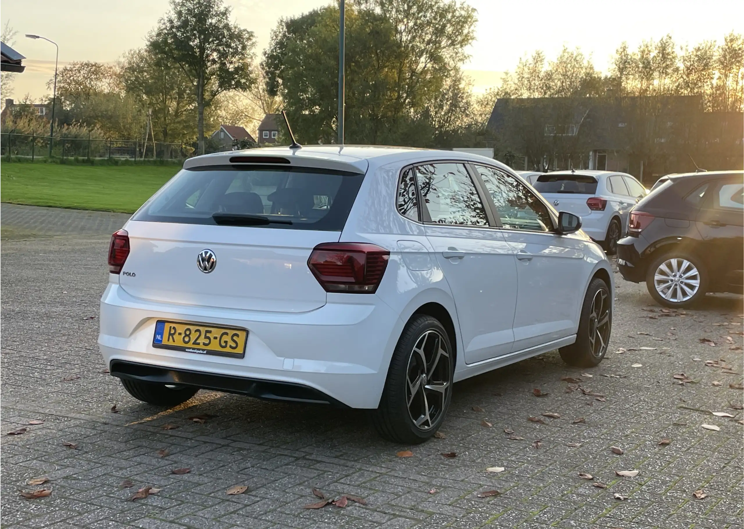 Volkswagen - Polo