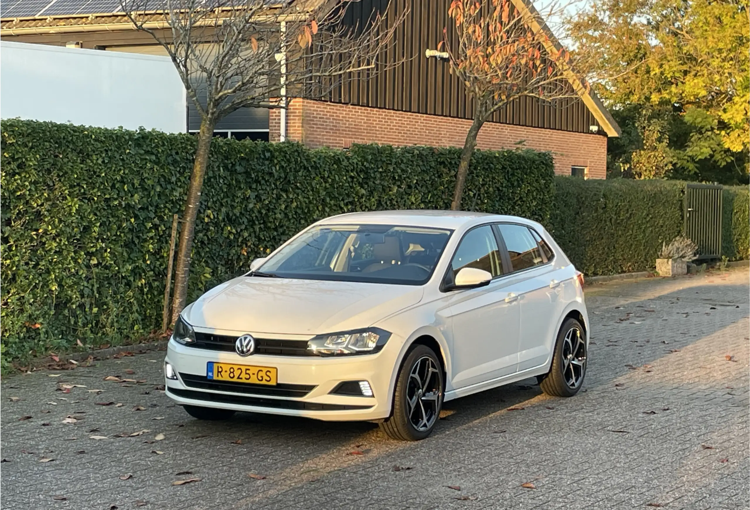 Volkswagen - Polo