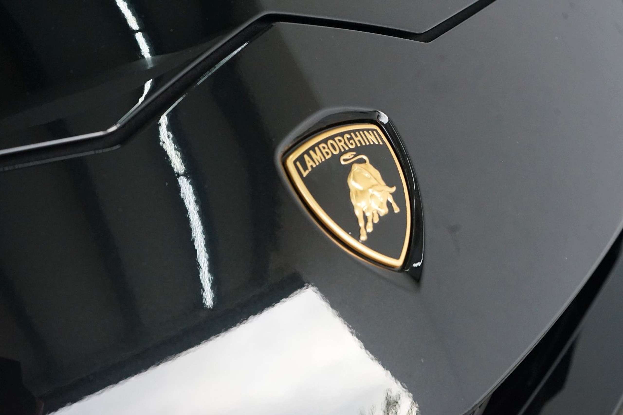 Lamborghini - Urus