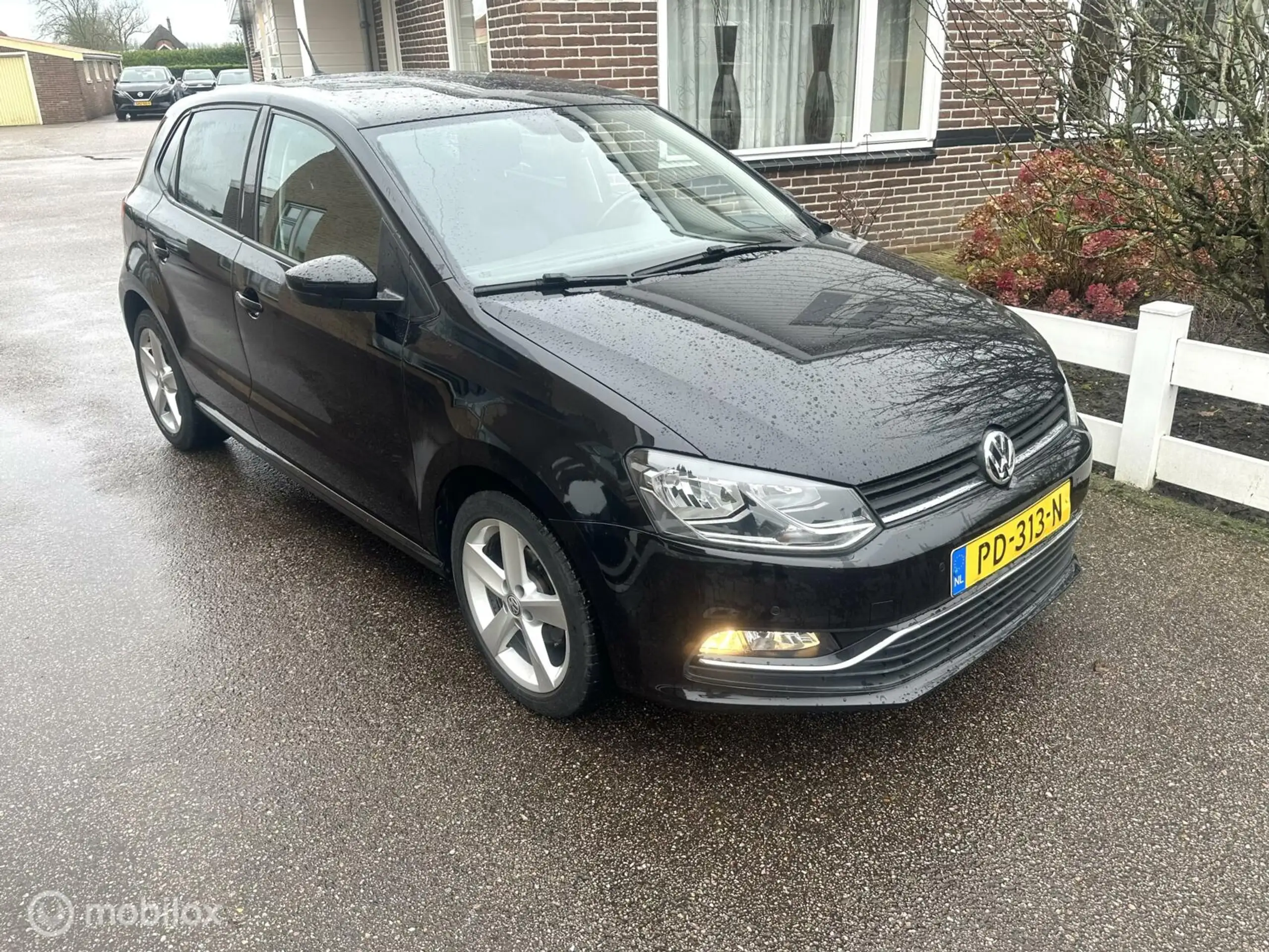 Volkswagen - Polo