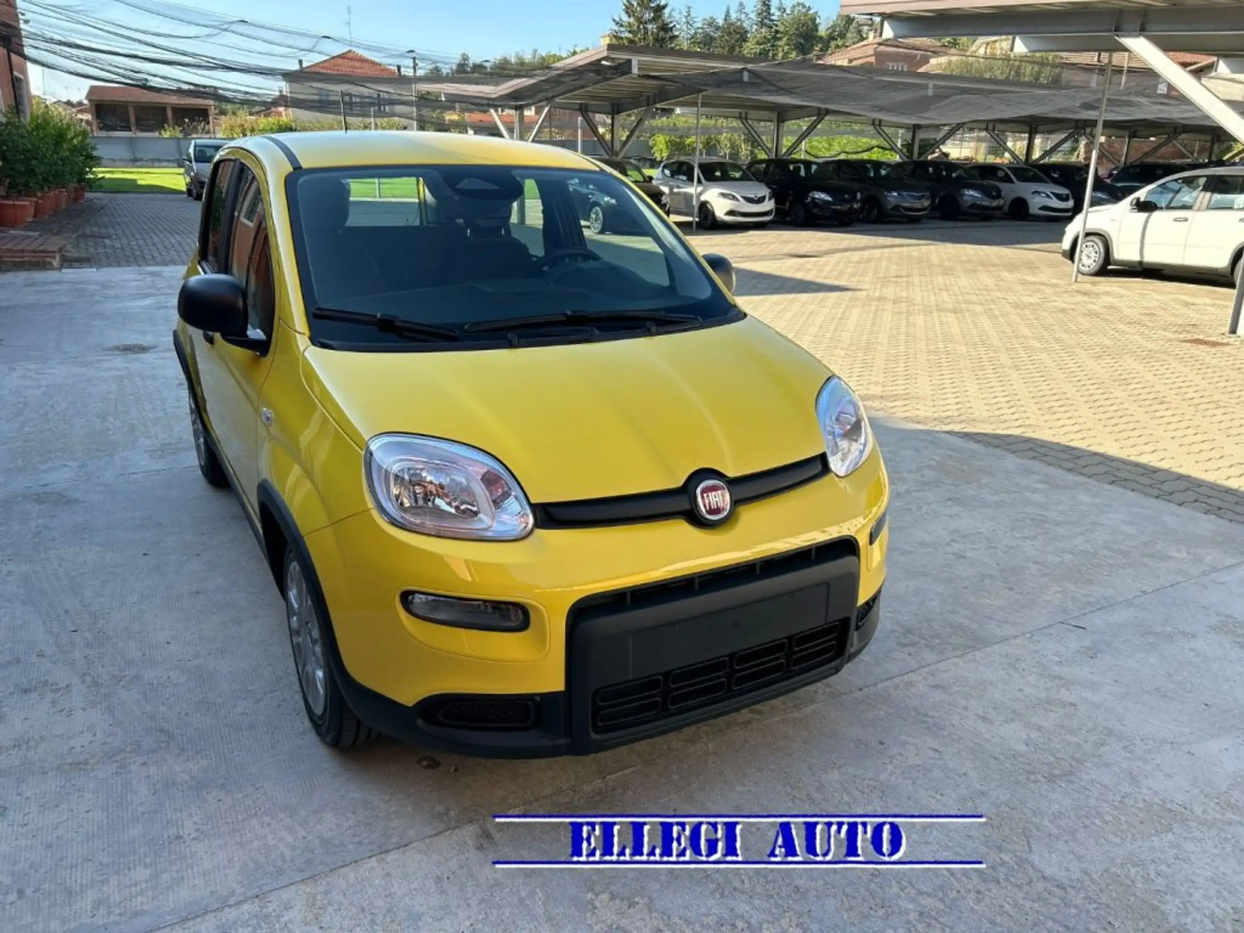 Fiat - Panda