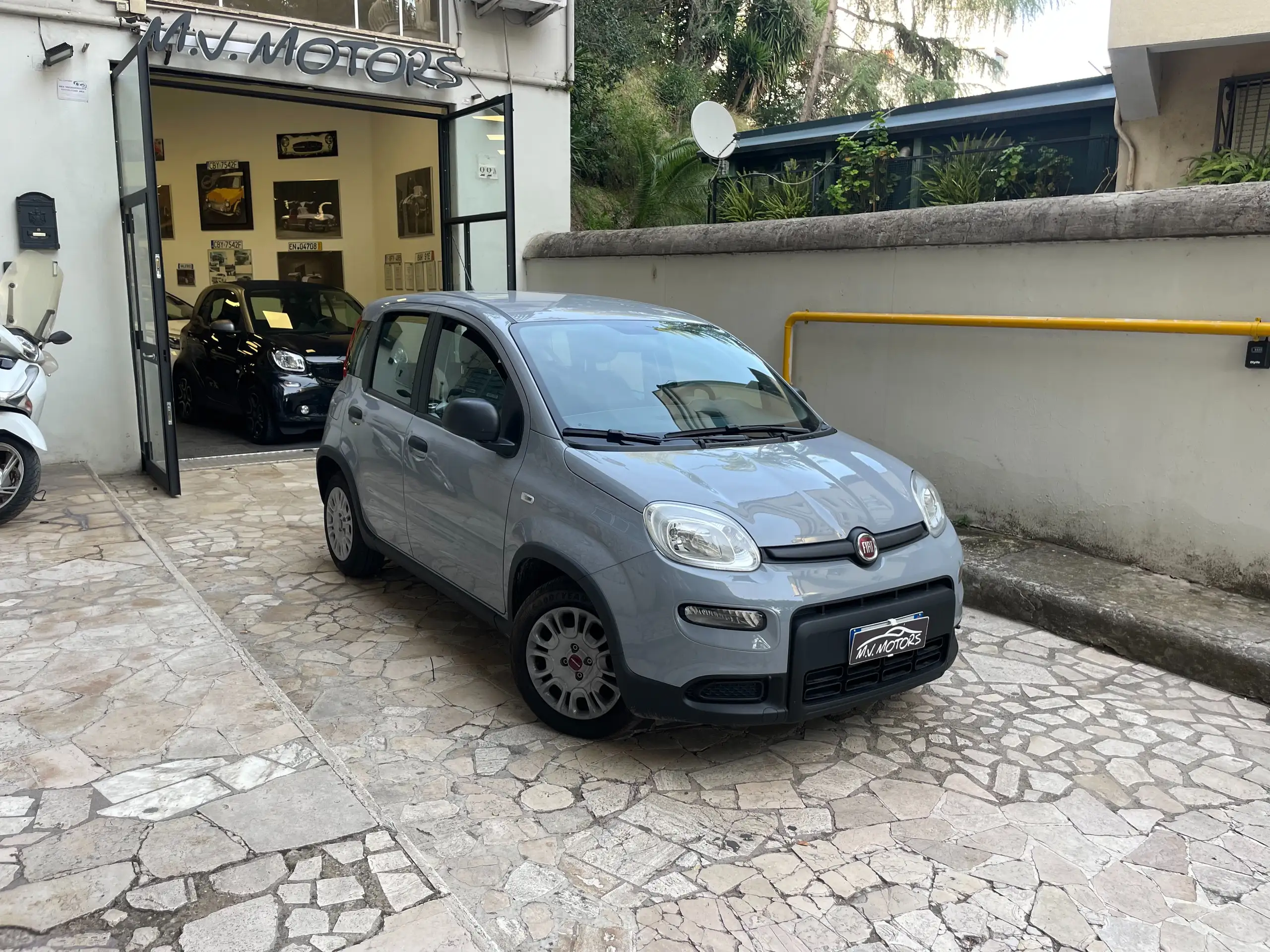 Fiat - Panda