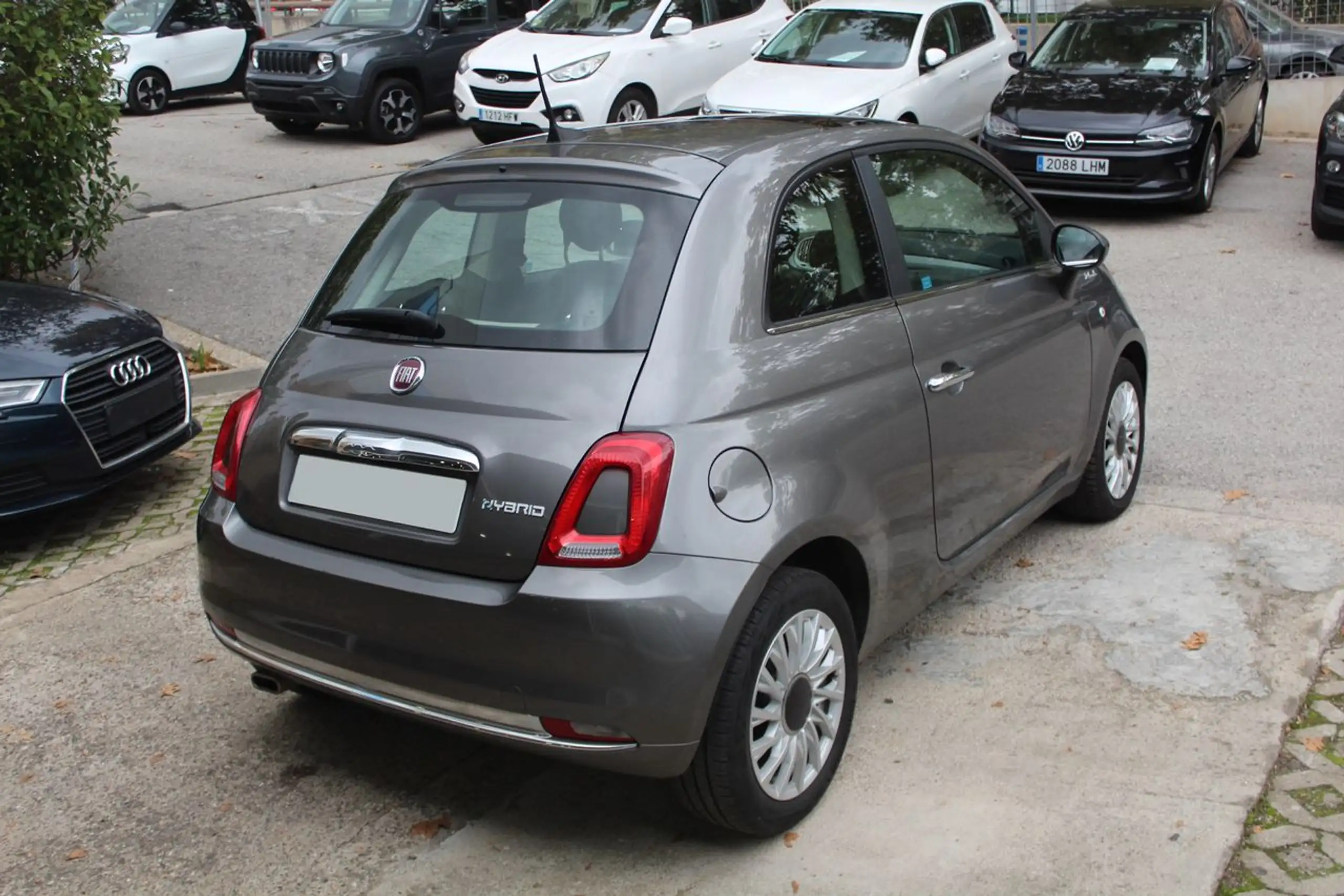 Fiat - 500