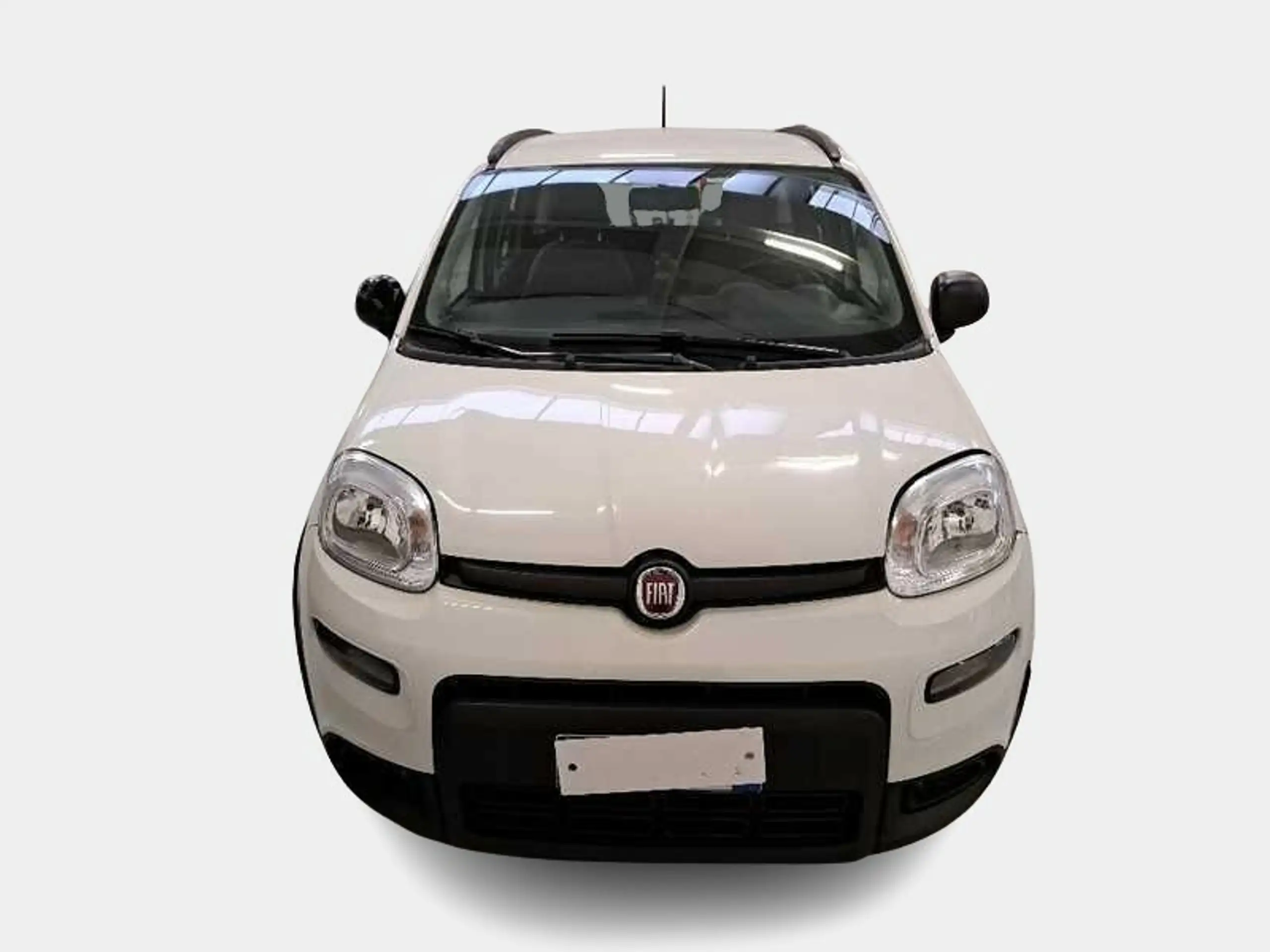 Fiat - Panda