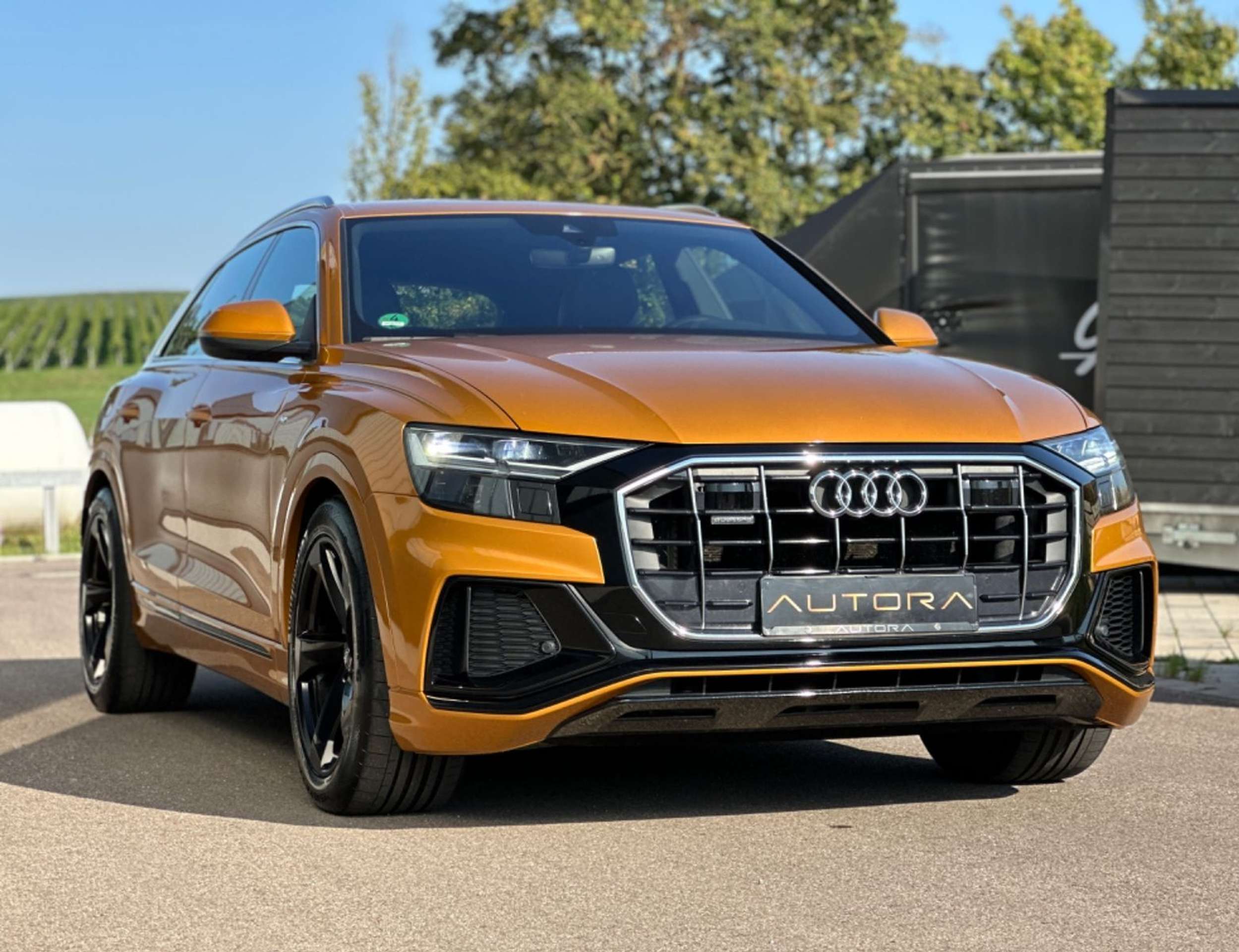 Audi - Q8