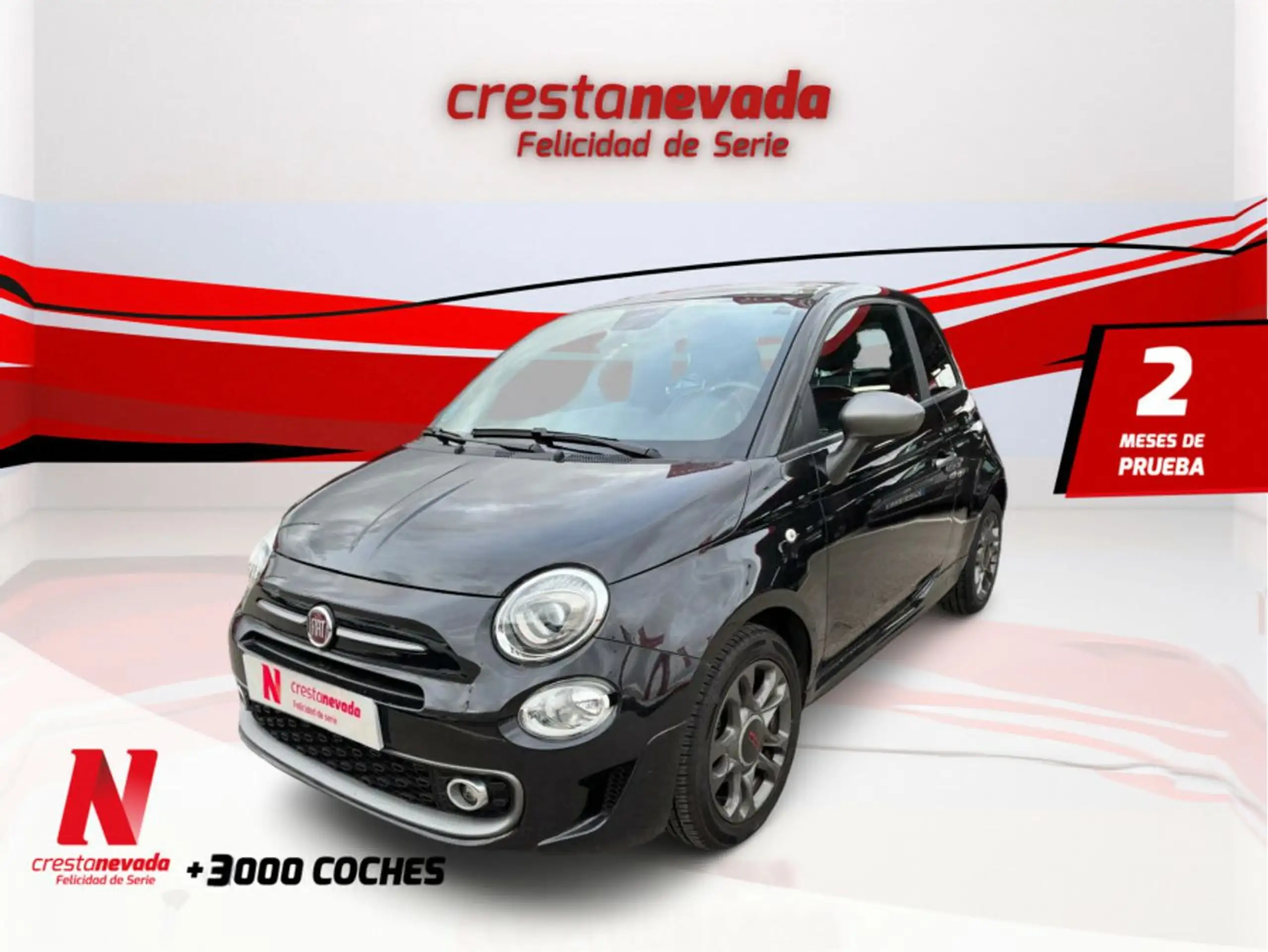 Fiat - 500