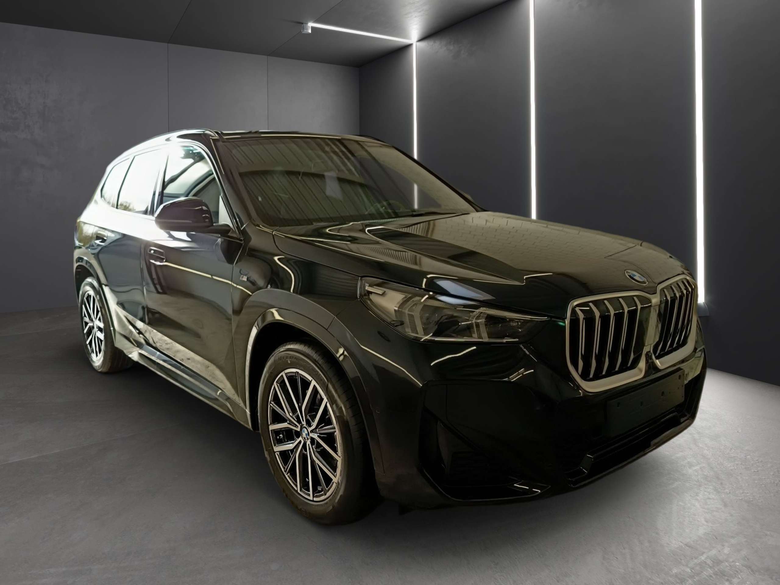 BMW - X1