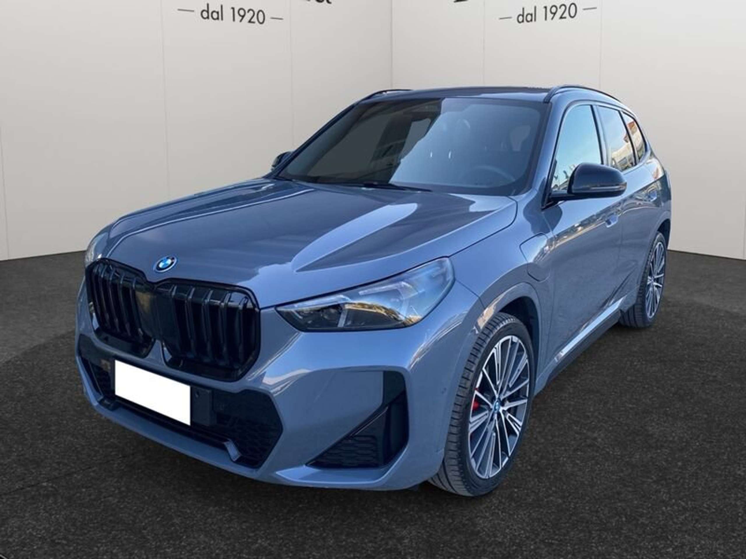 BMW - X1